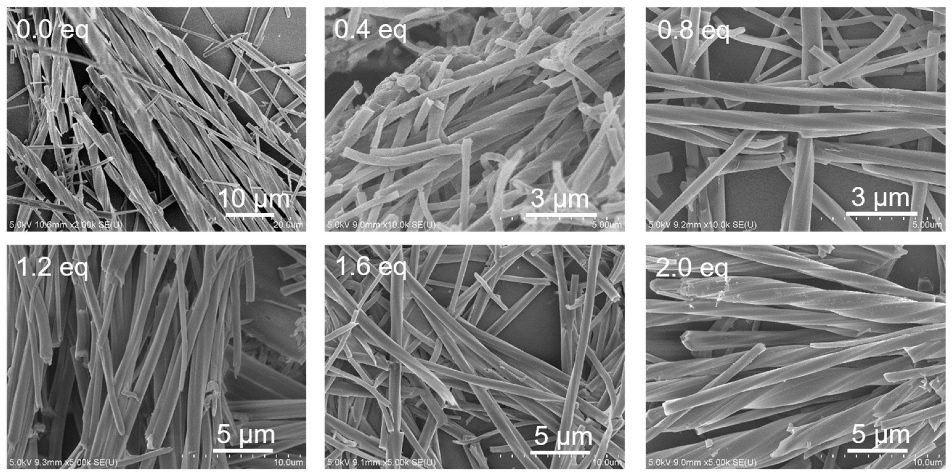 Molecules 28 00163 g005 Molecules 28 00163 g005