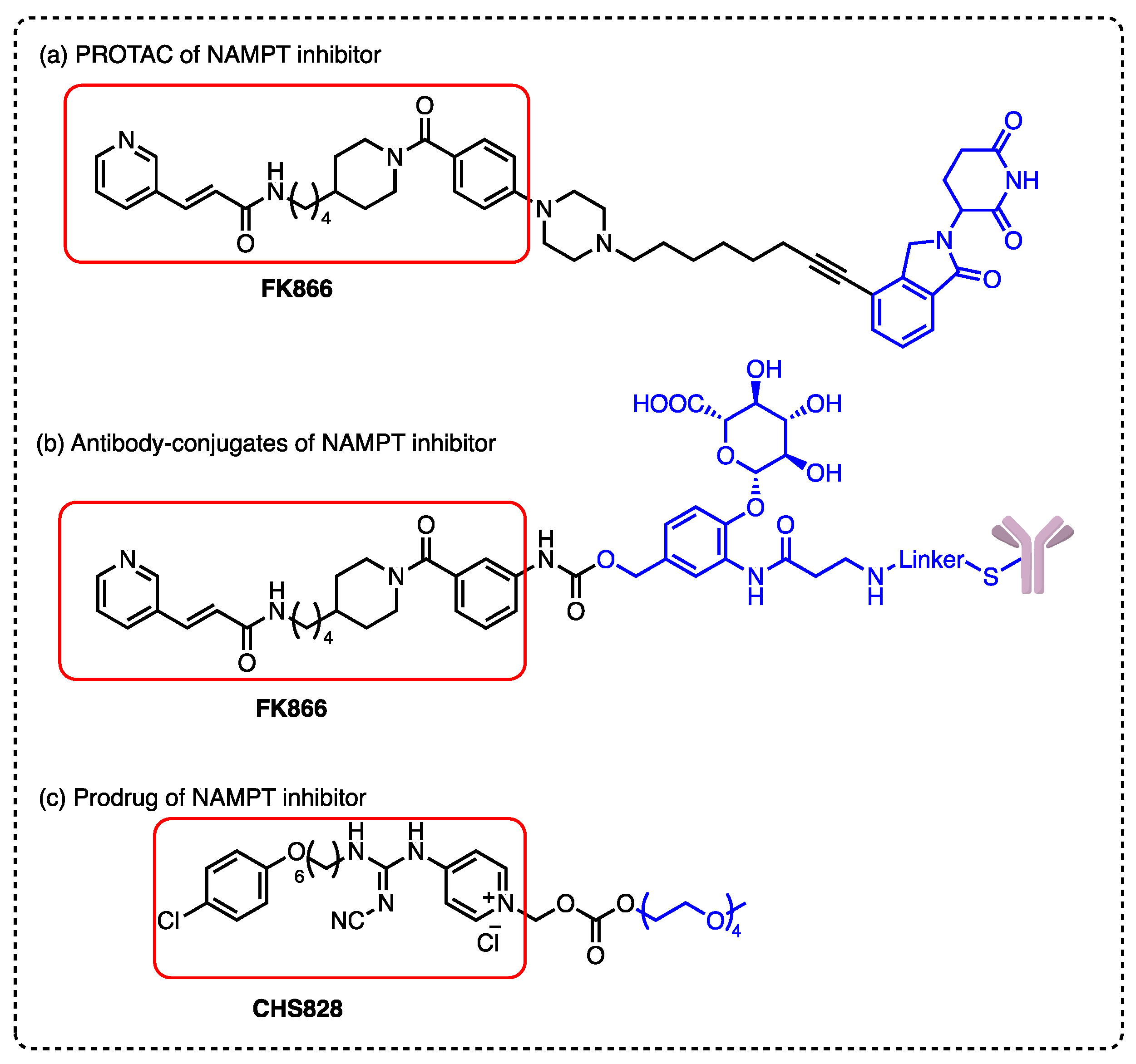 Molecules 28 00169 g001