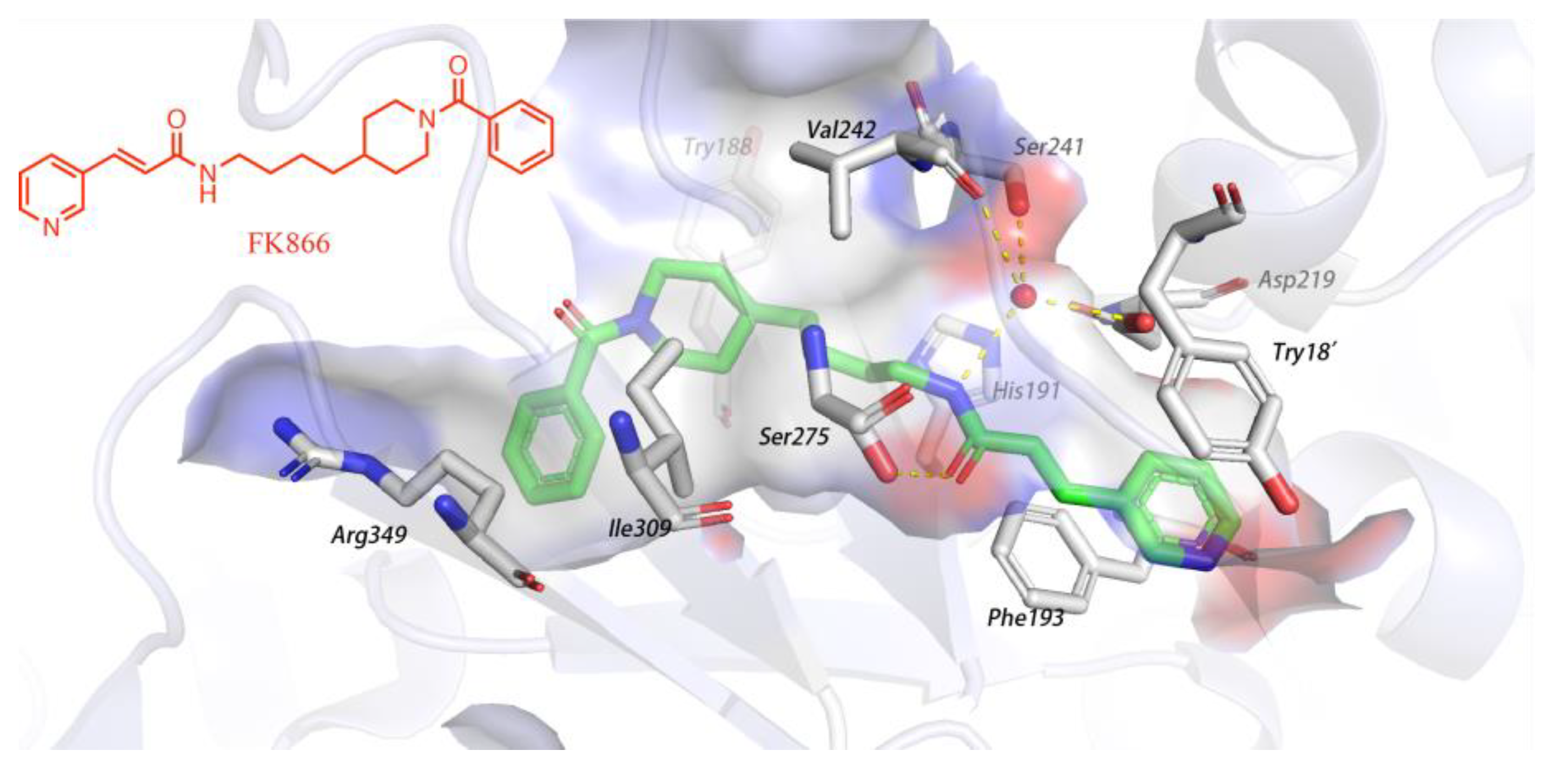 Molecules 28 00169 g002