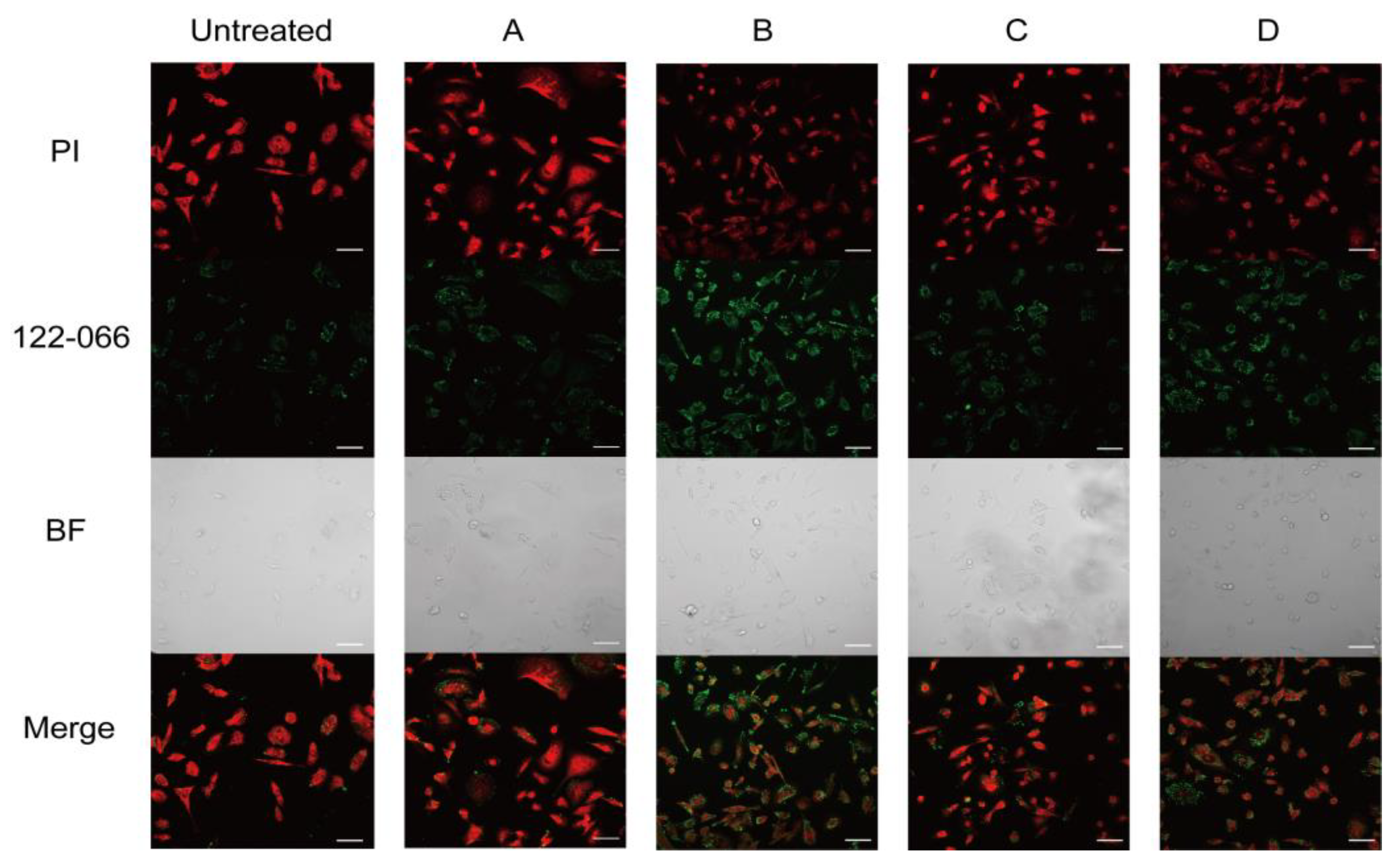 Molecules 28 00169 g006