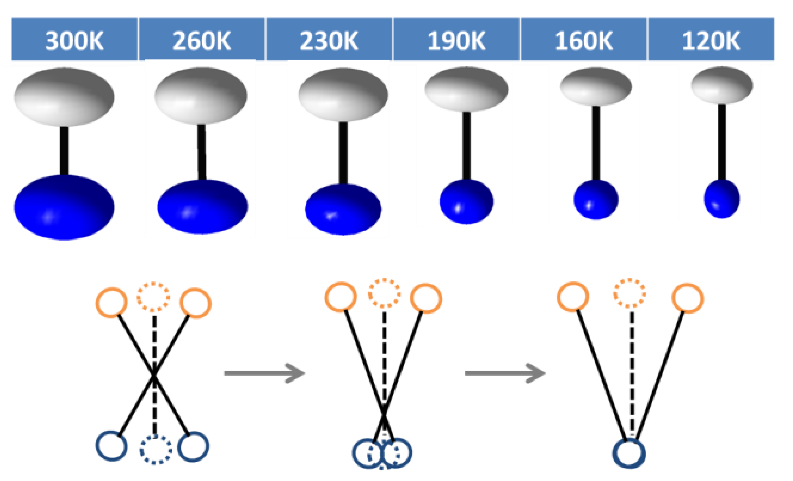 Molecules 28 00174 g004