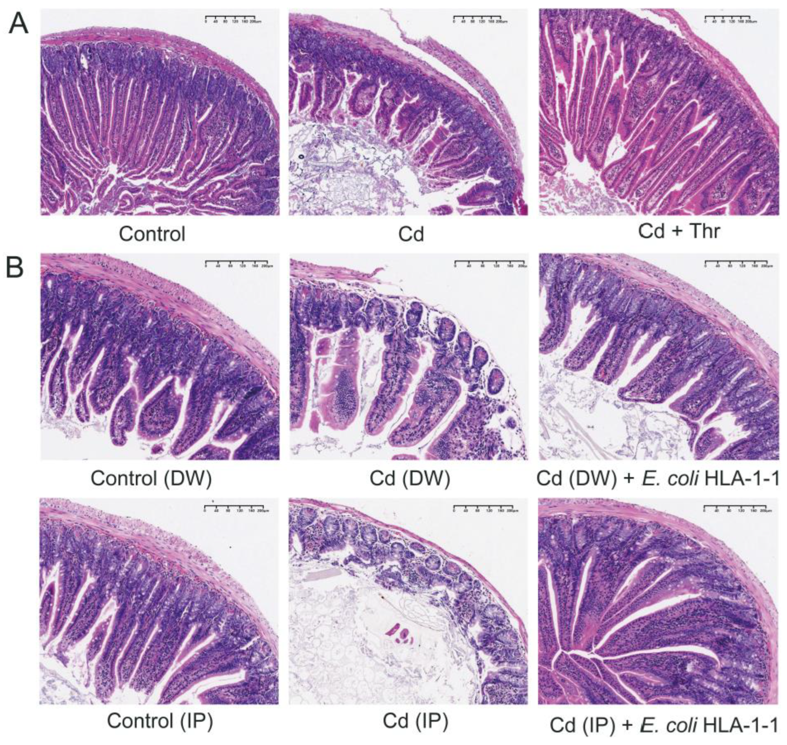 Molecules 28 00177 g005