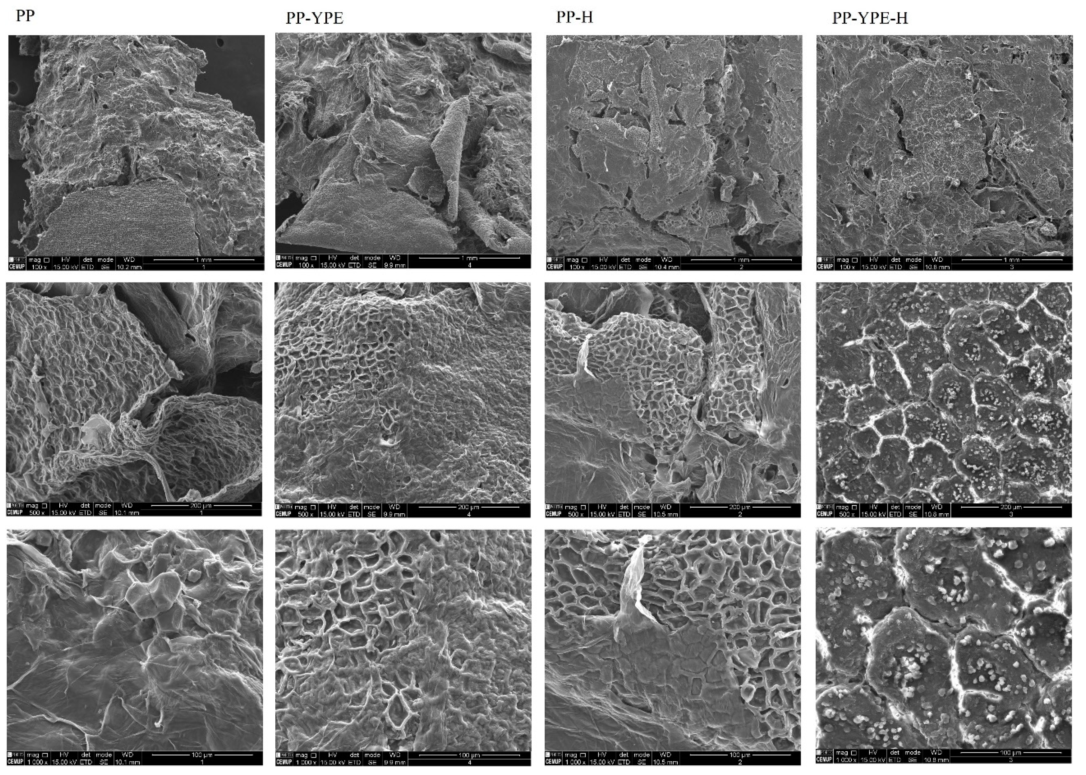 Molecules 28 00179 g006
