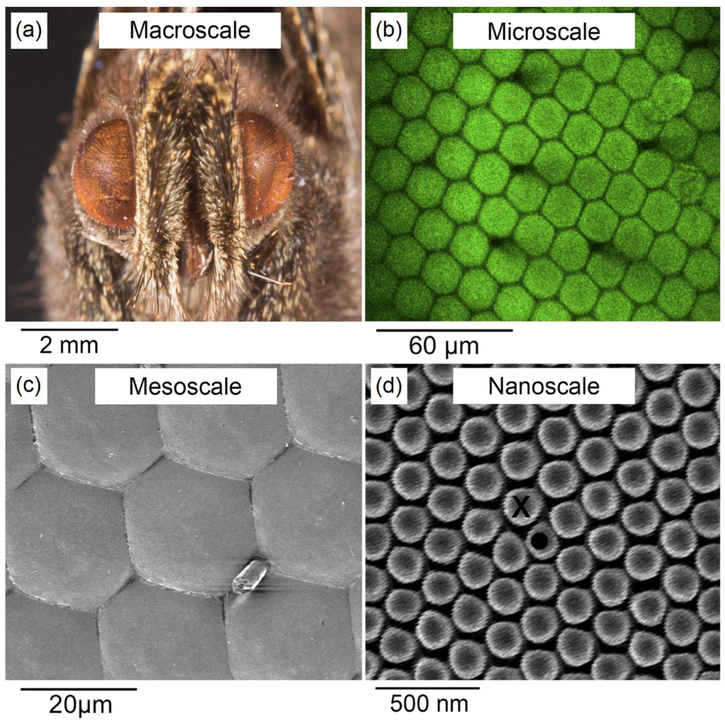 Molecules 28 00180 g004 Molecules 28 00180 g004