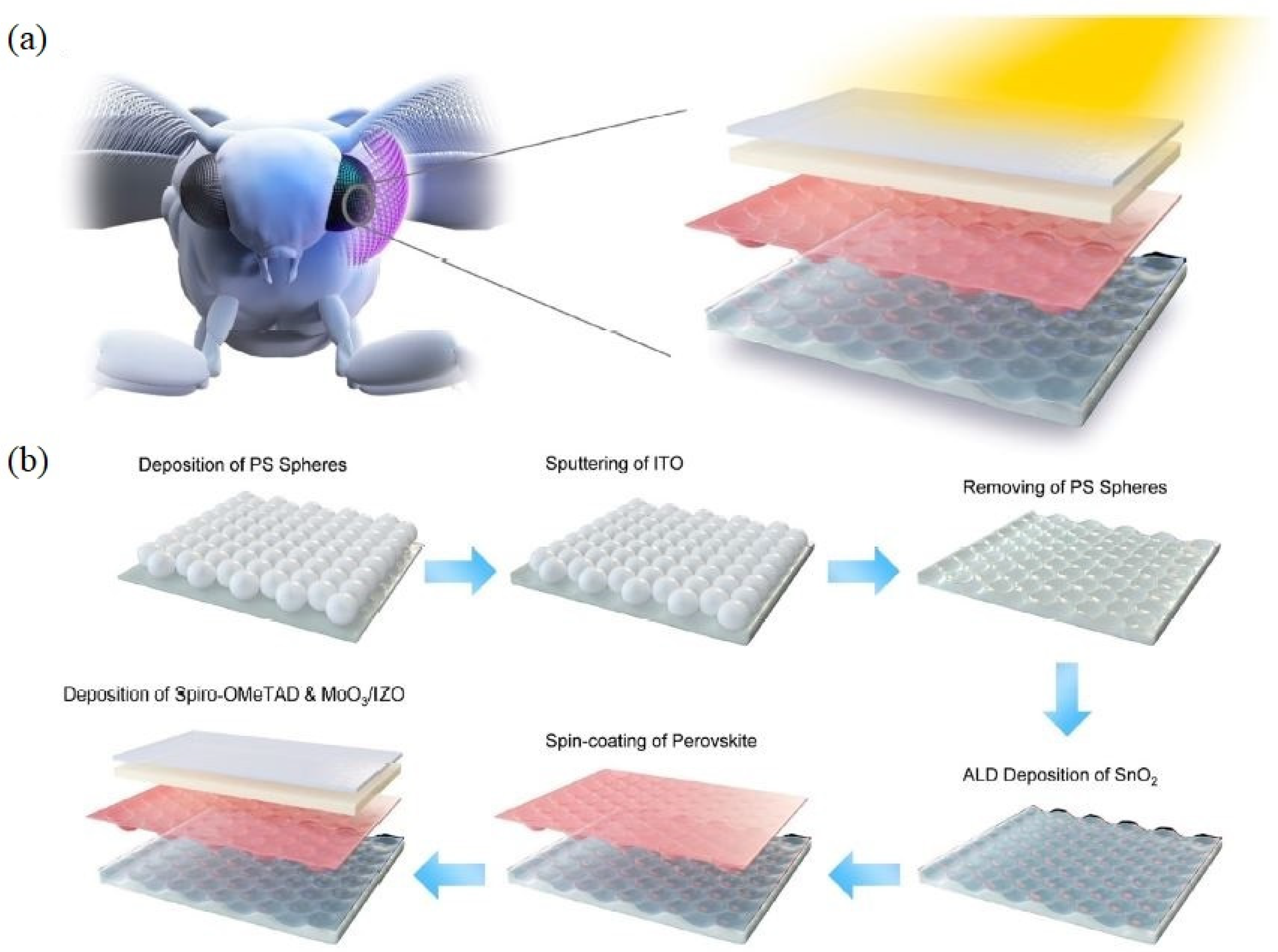 Molecules 28 00180 g005 Molecules 28 00180 g005