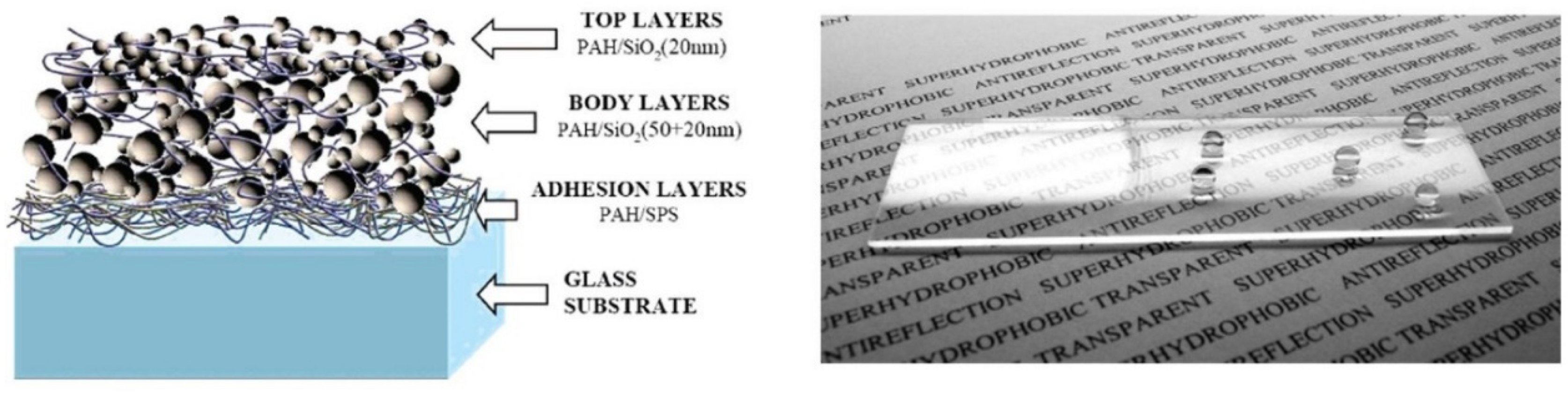 Molecules 28 00180 g007 Molecules 28 00180 g007