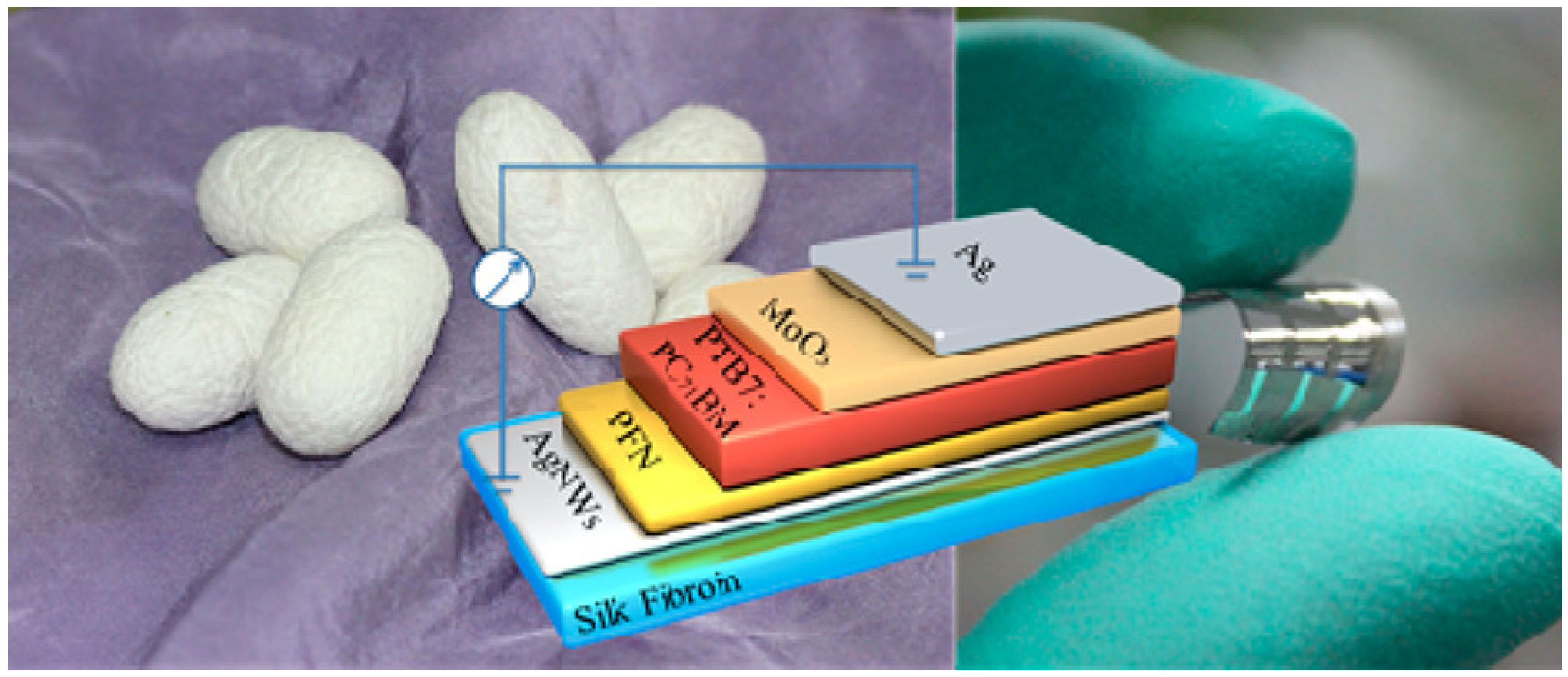 Molecules 28 00180 g008 Molecules 28 00180 g008