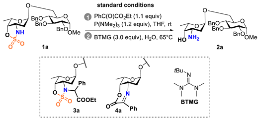 Molecules 28 00182 i001 Molecules 28 00182 i001