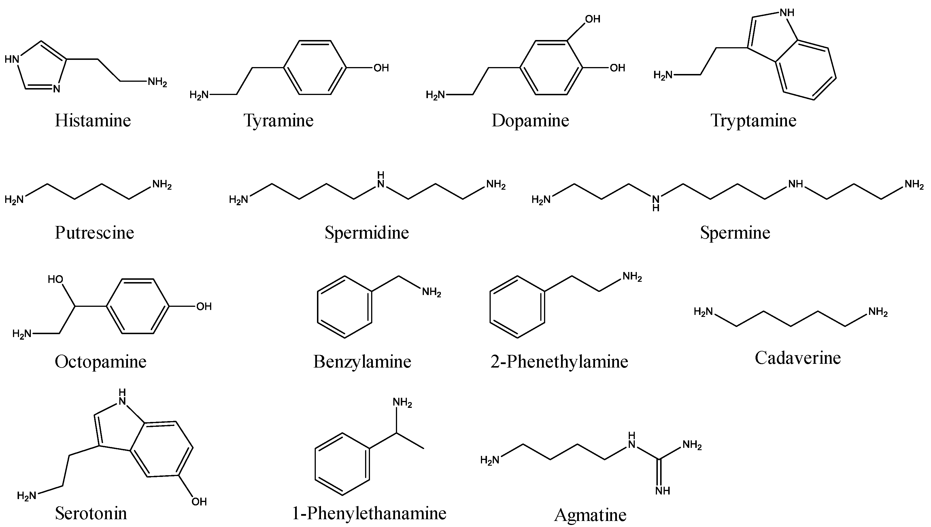 Molecules 28 00184 g001