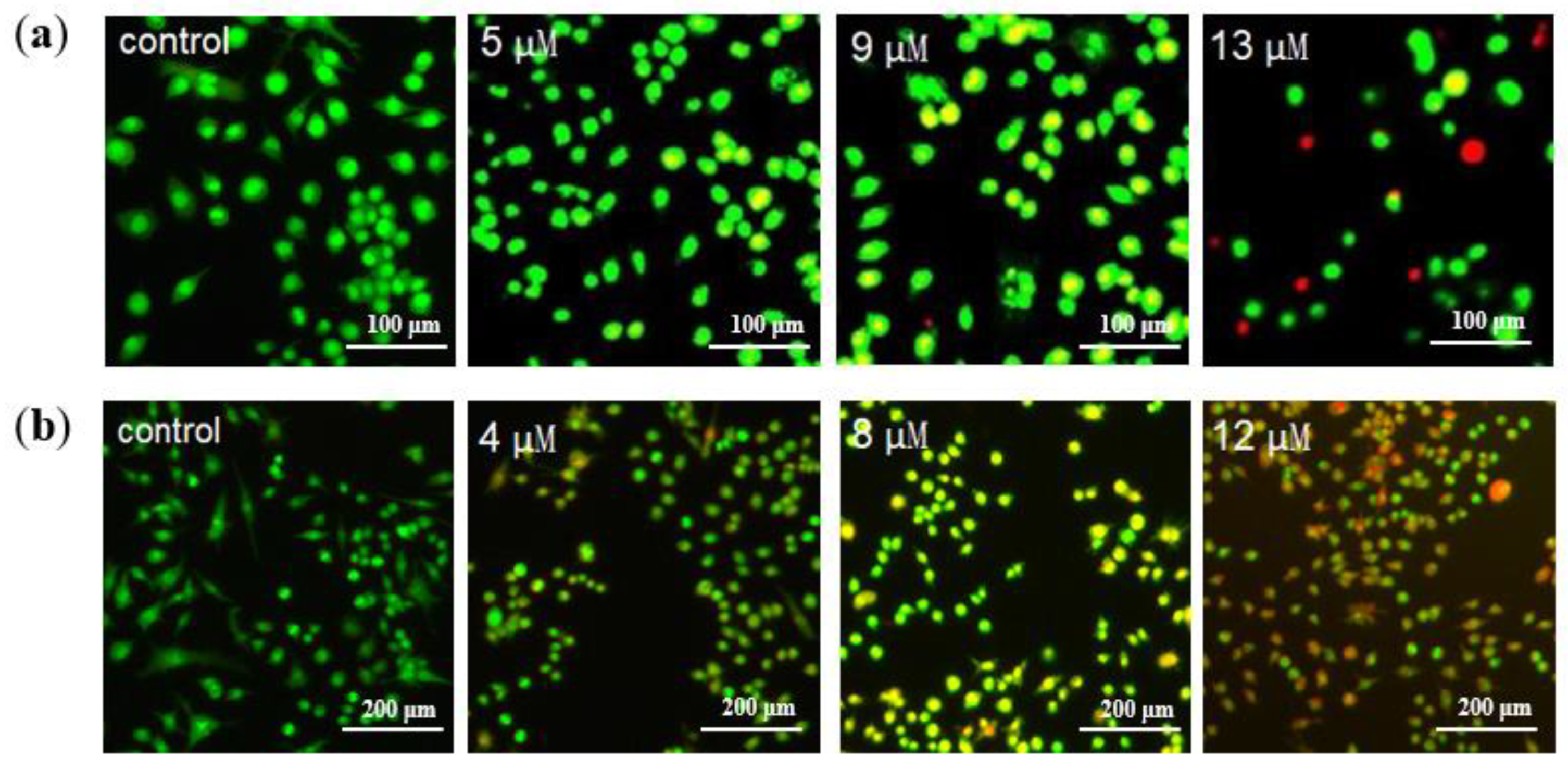 Molecules 28 00187 g003