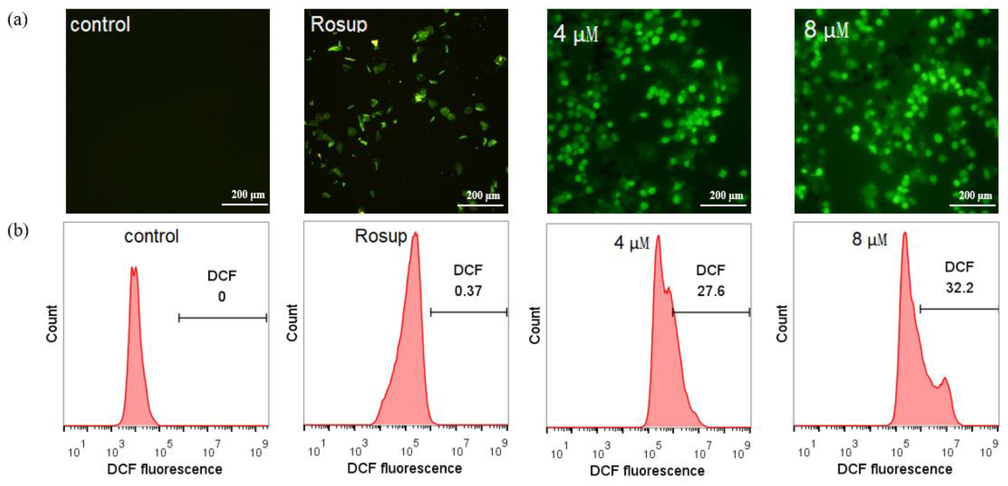 Molecules 28 00187 g005