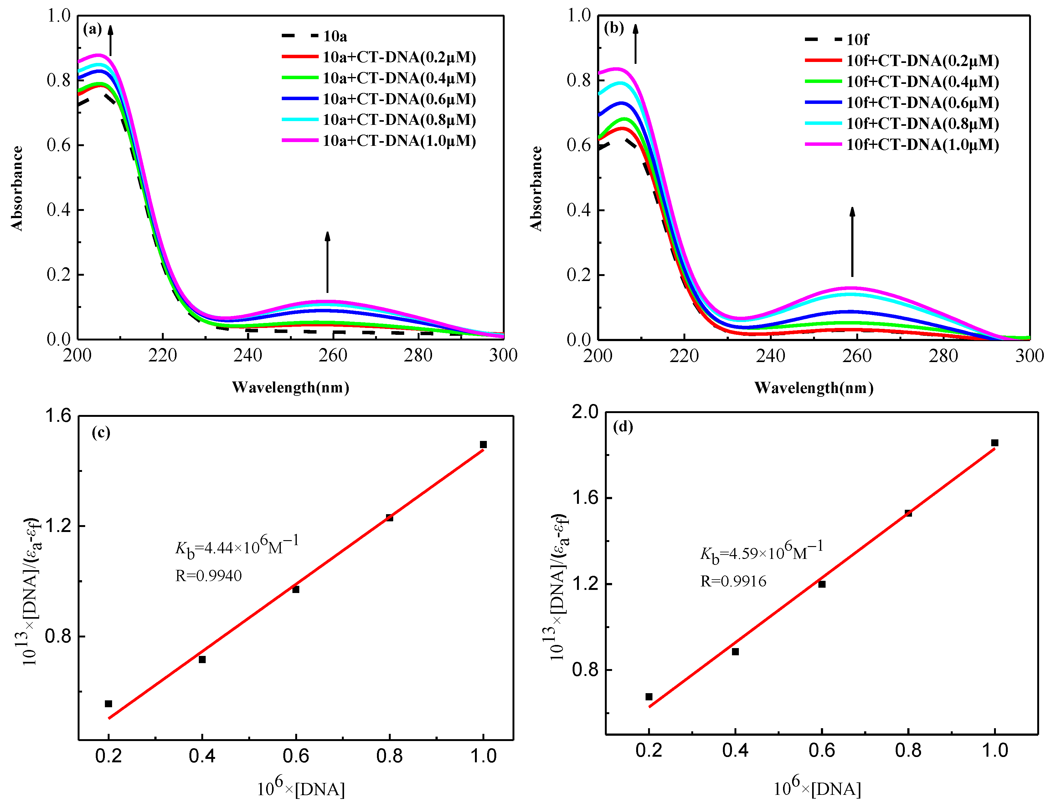 Molecules 28 00187 g006