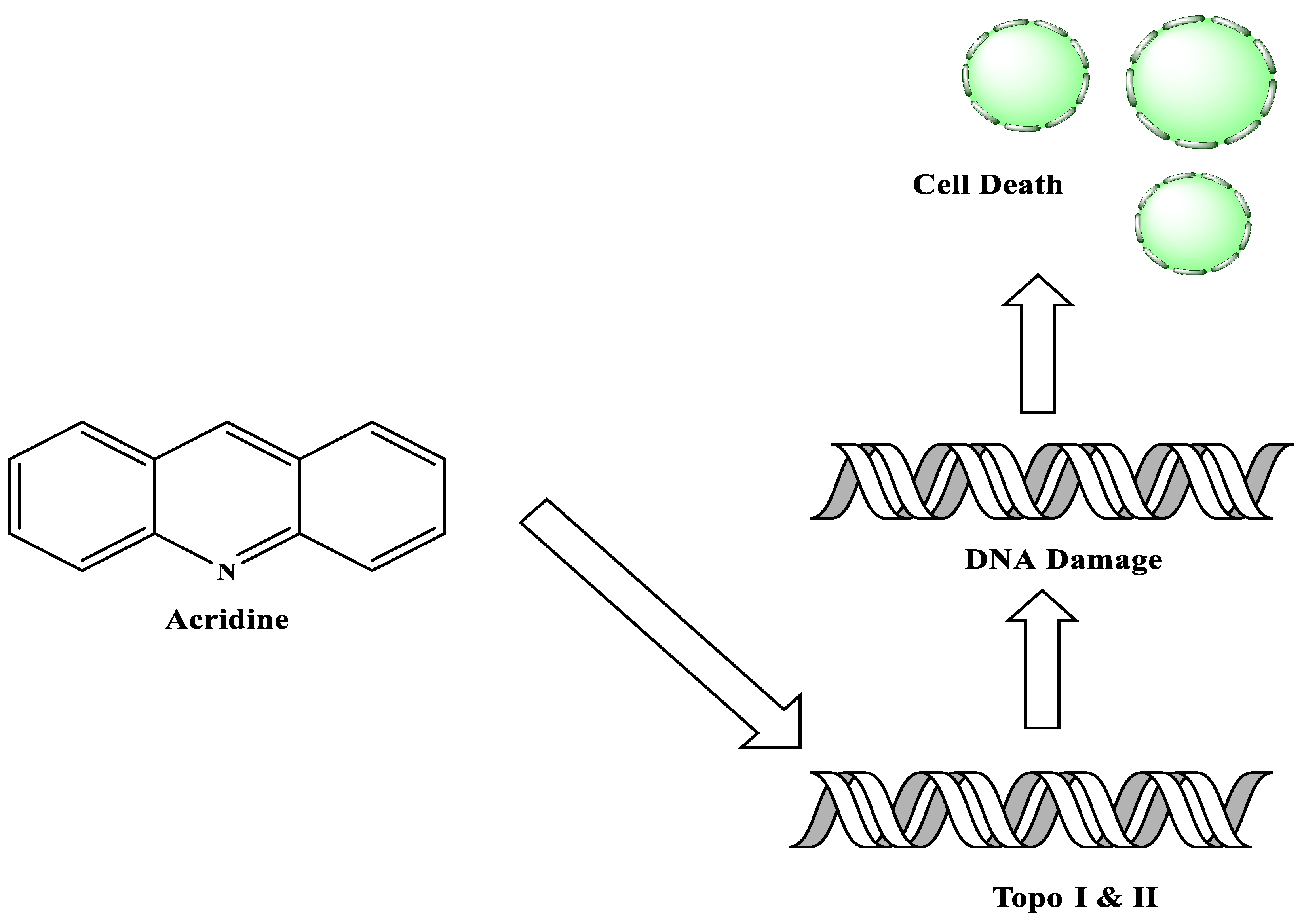 Molecules 28 00193 g003 Molecules 28 00193 g003