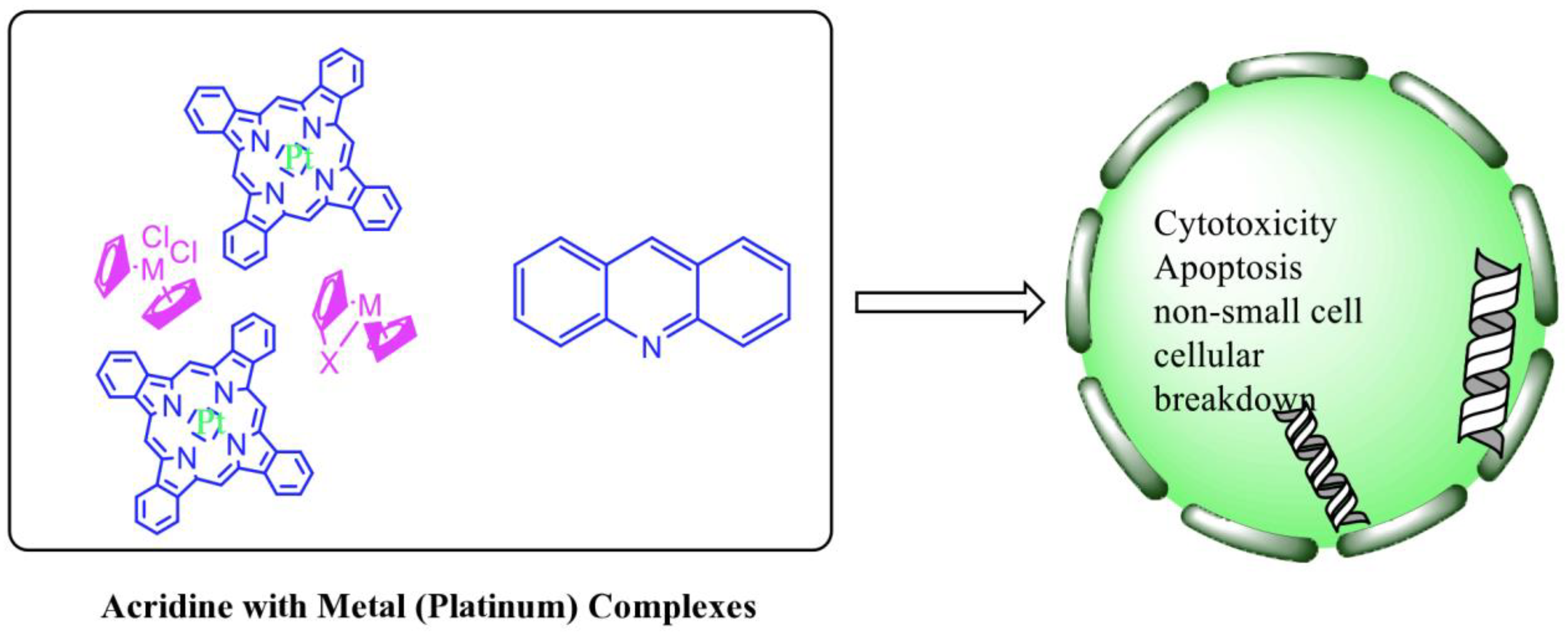 Molecules 28 00193 g010 Molecules 28 00193 g010
