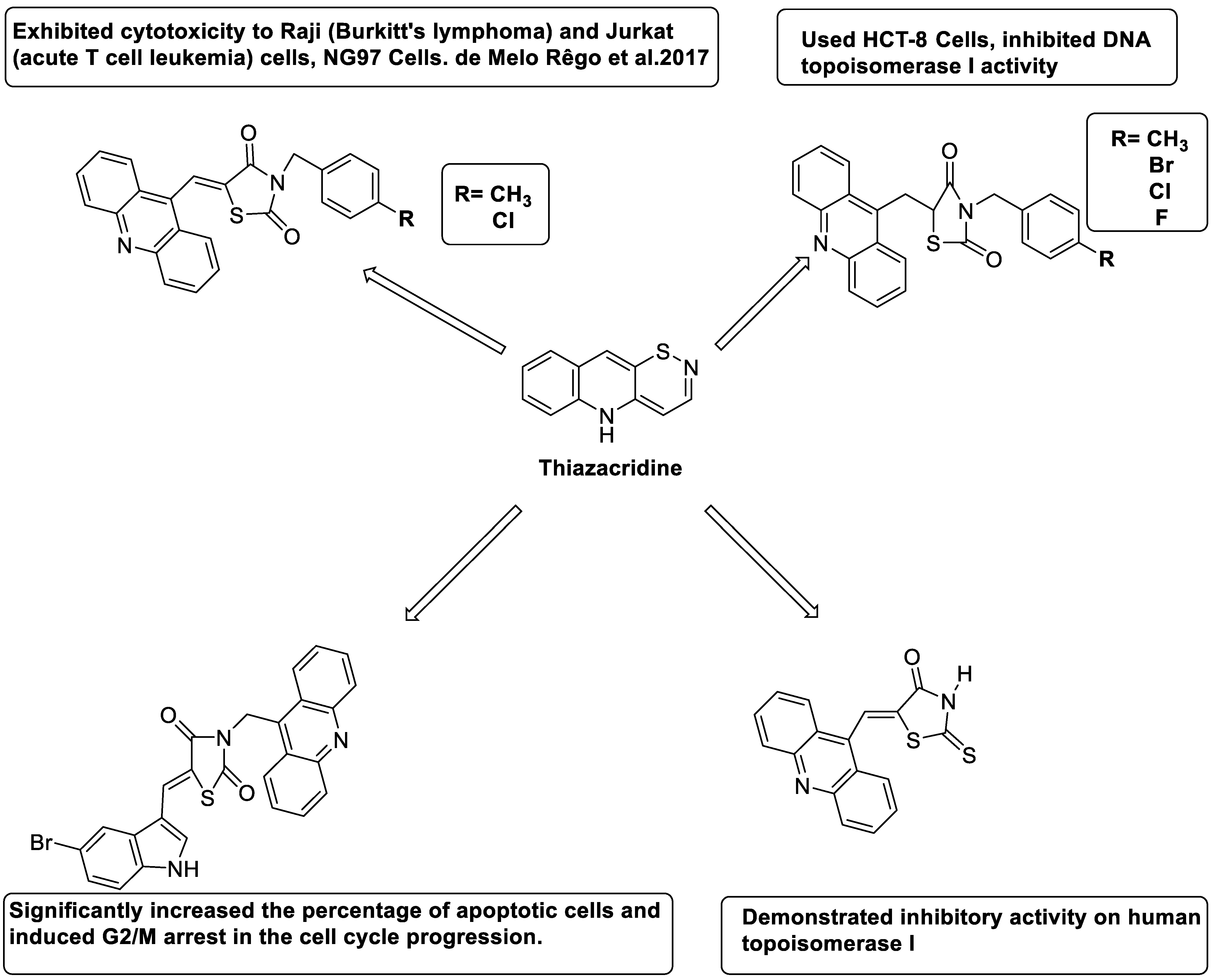 Molecules 28 00193 g012 Molecules 28 00193 g012
