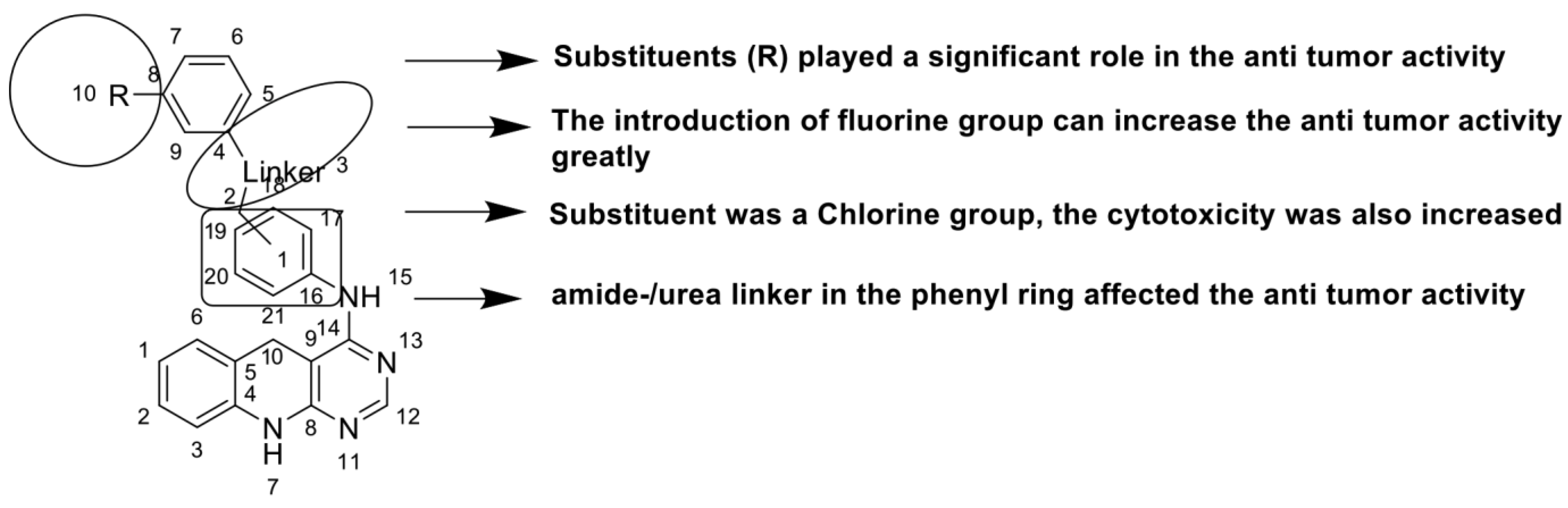 Molecules 28 00193 g013 Molecules 28 00193 g013