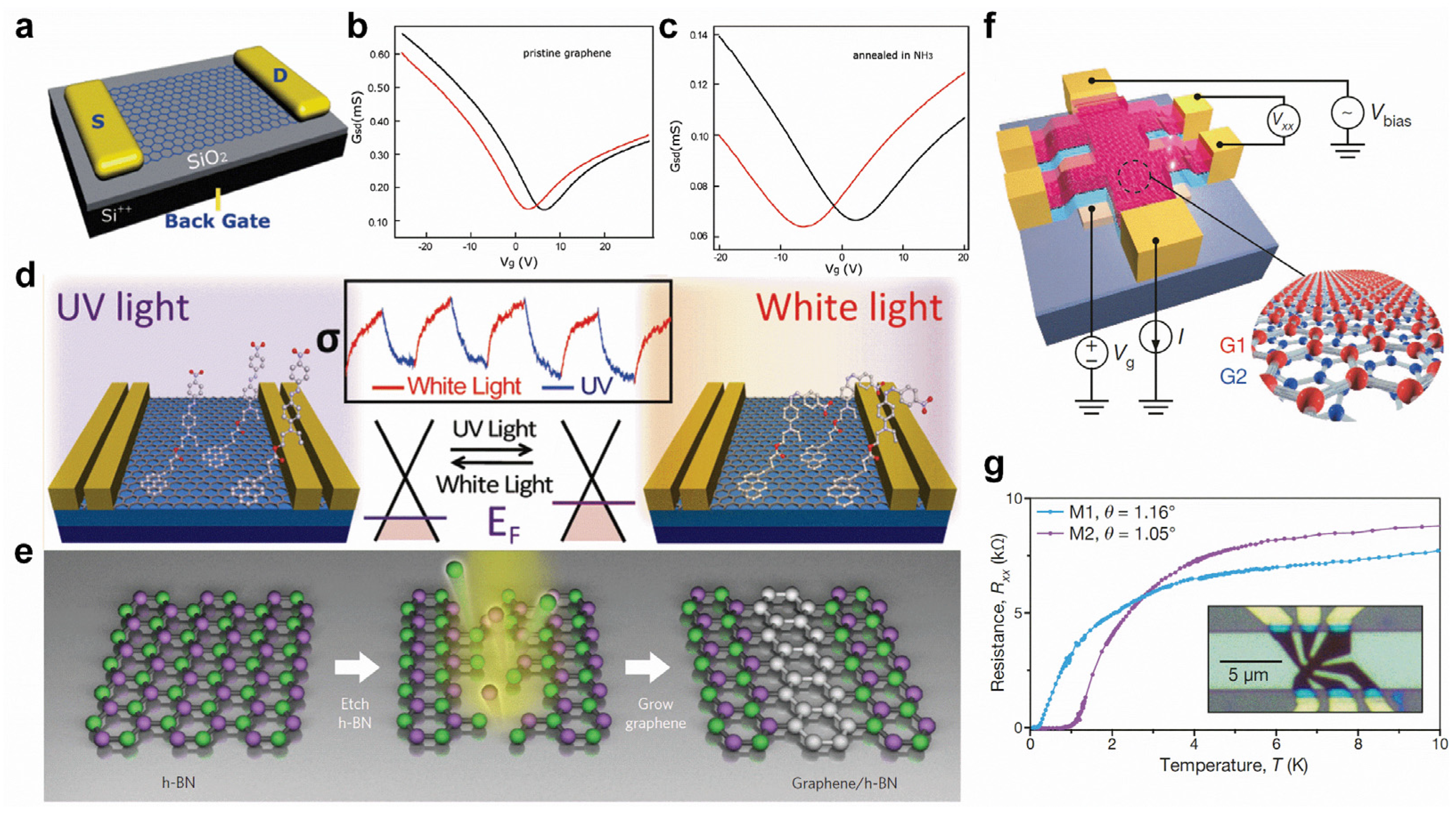 Molecules 28 00200 g006