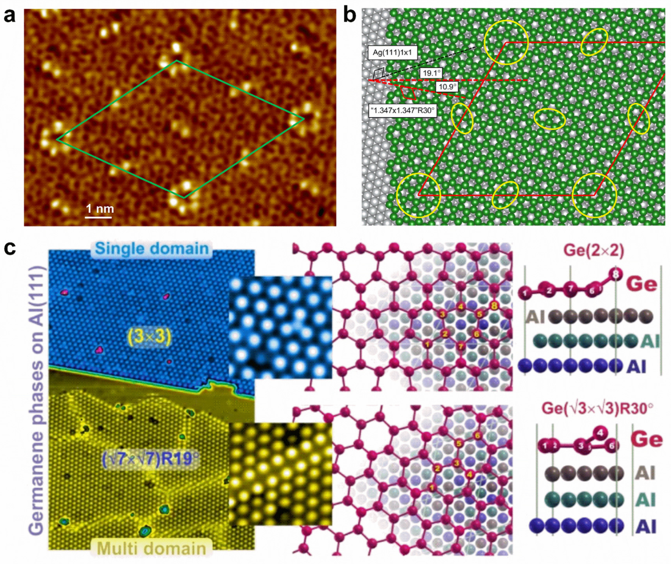 Molecules 28 00200 g008