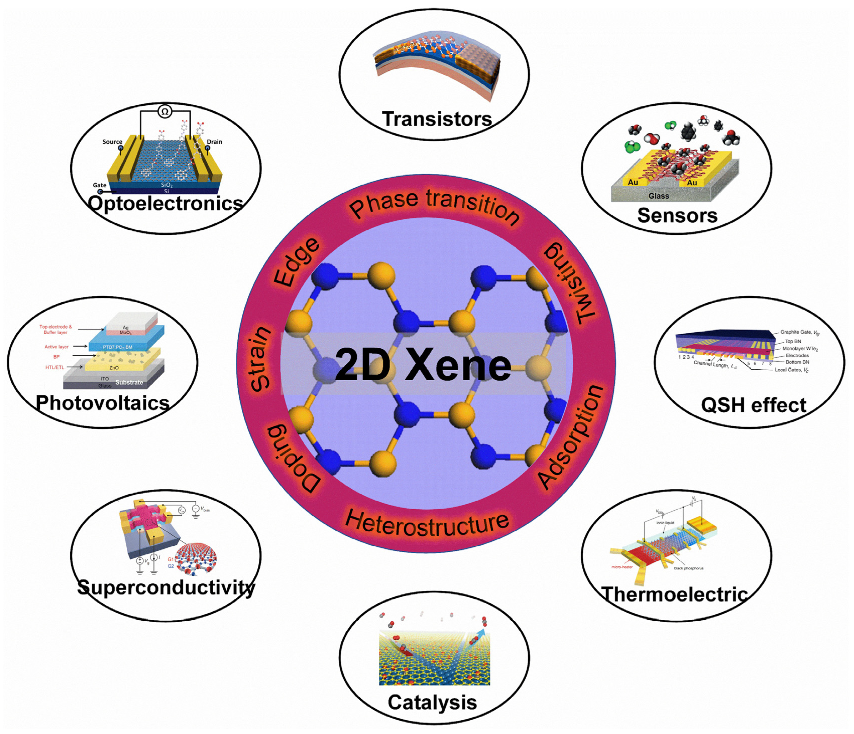 Molecules 28 00200 g012
