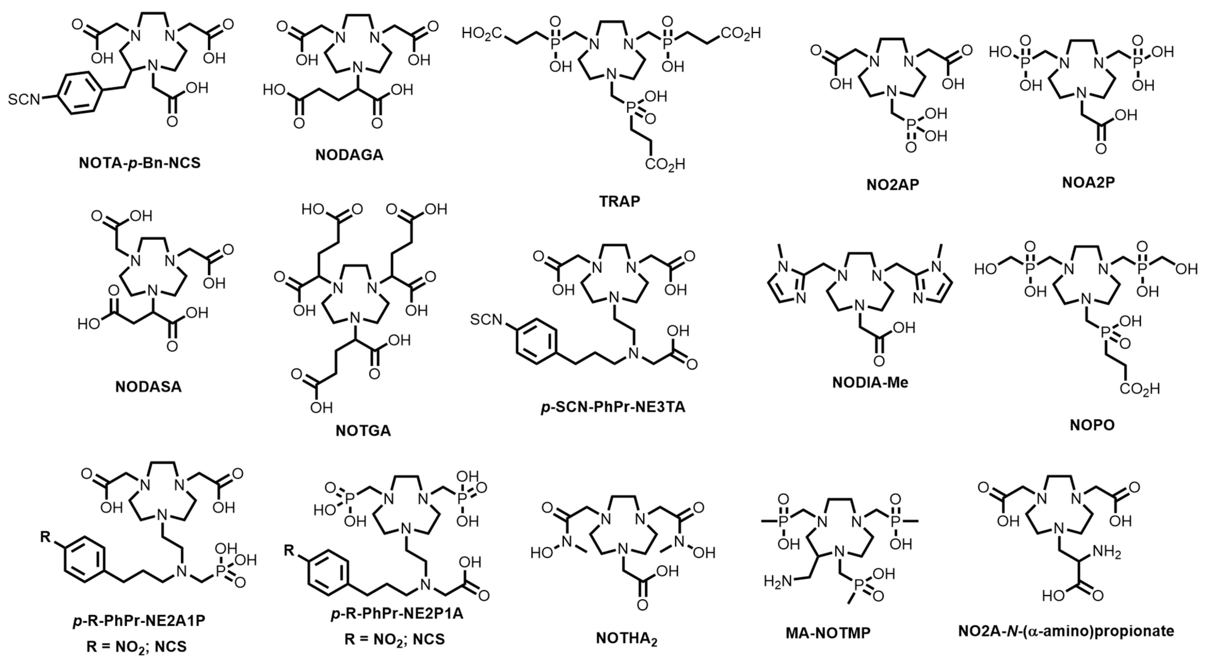 Molecules 28 00203 g020