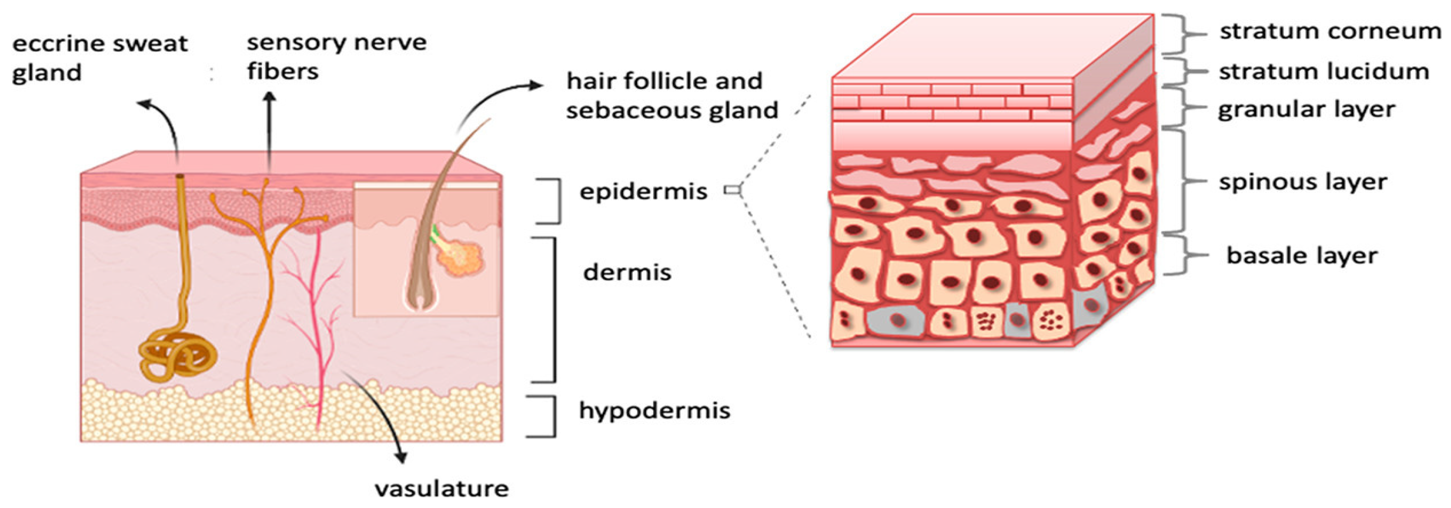 Molecules 28 00205 g001