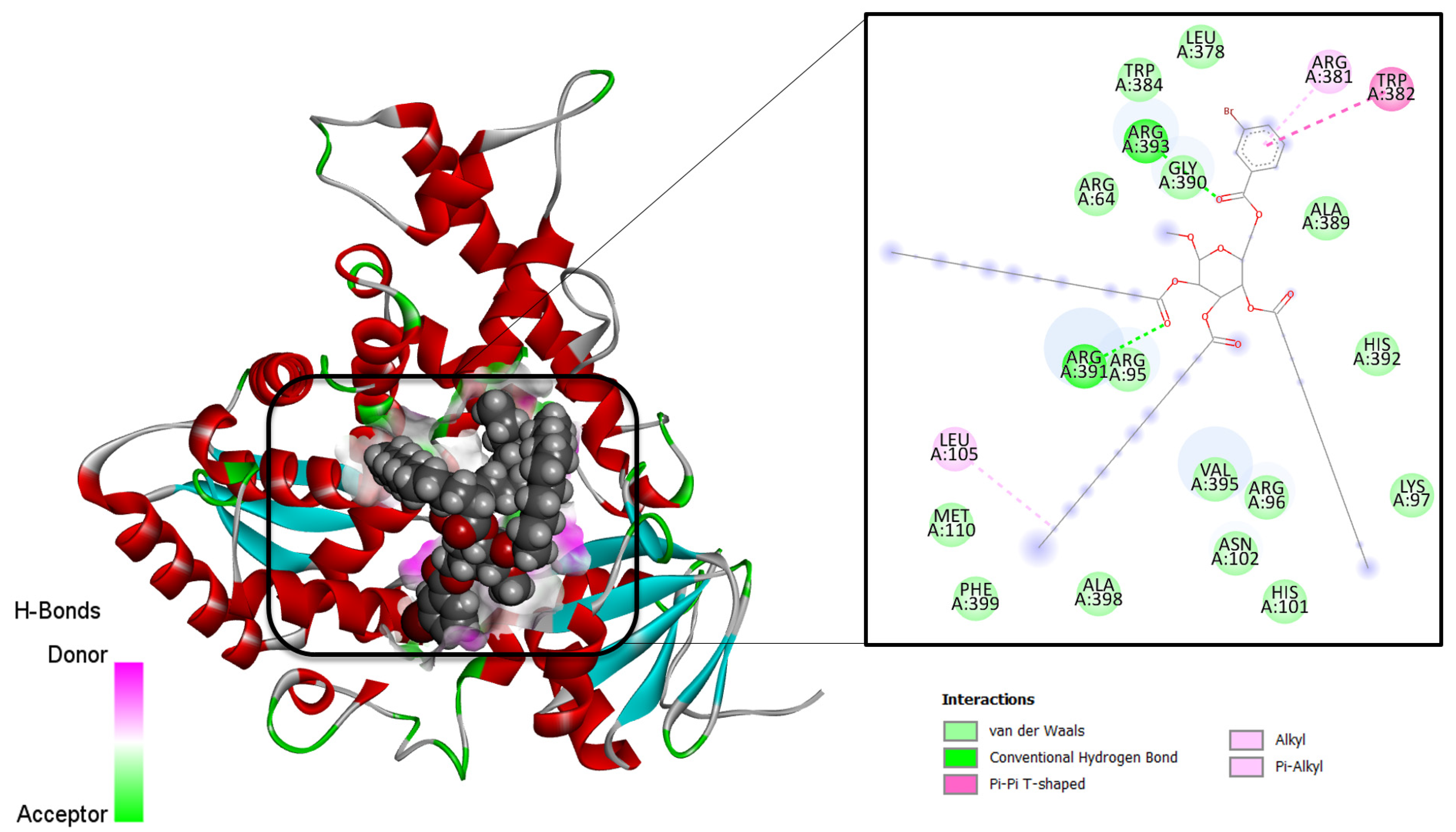 Molecules 28 00219 g007