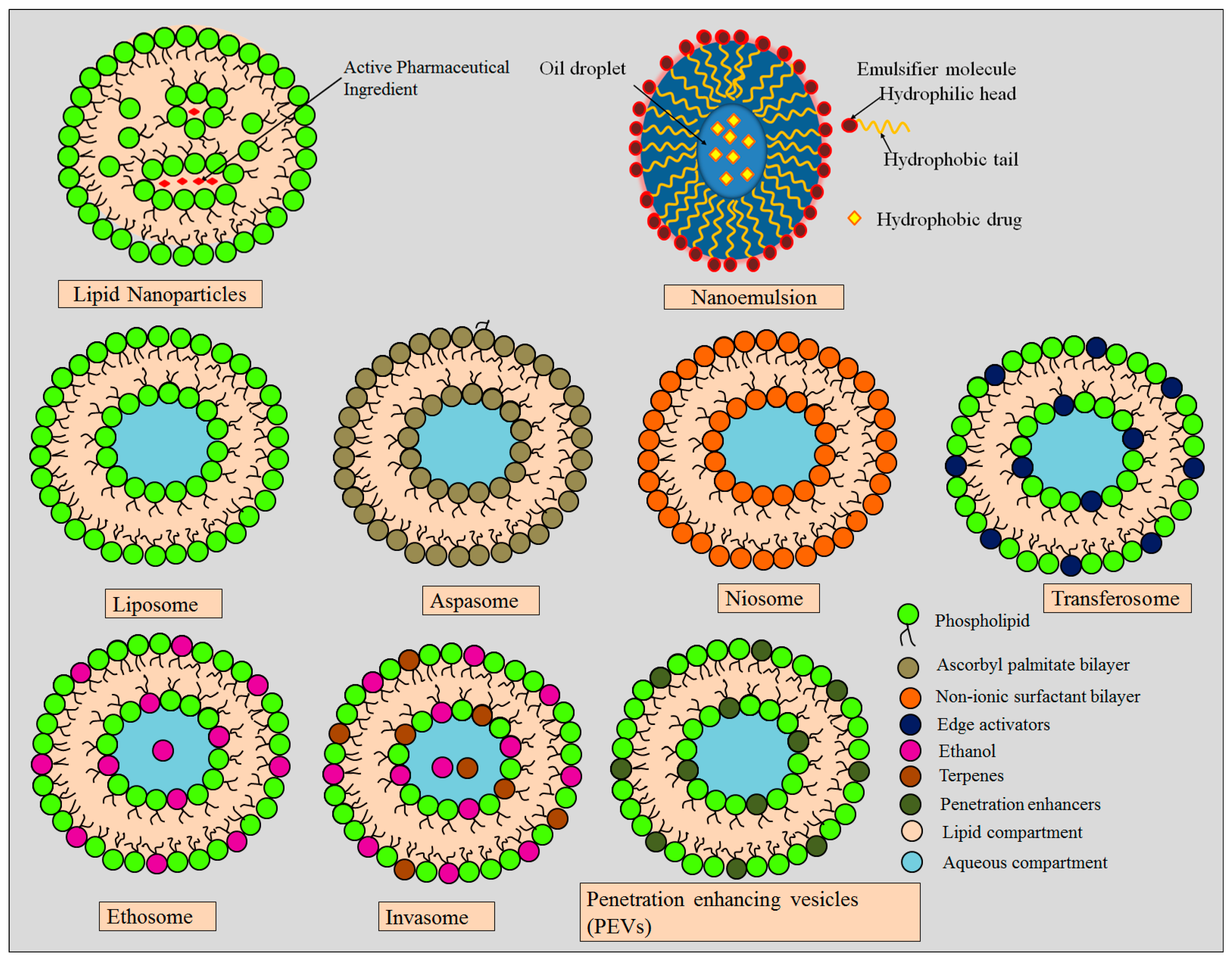 Molecules 28 00220 g003 Molecules 28 00220 g003