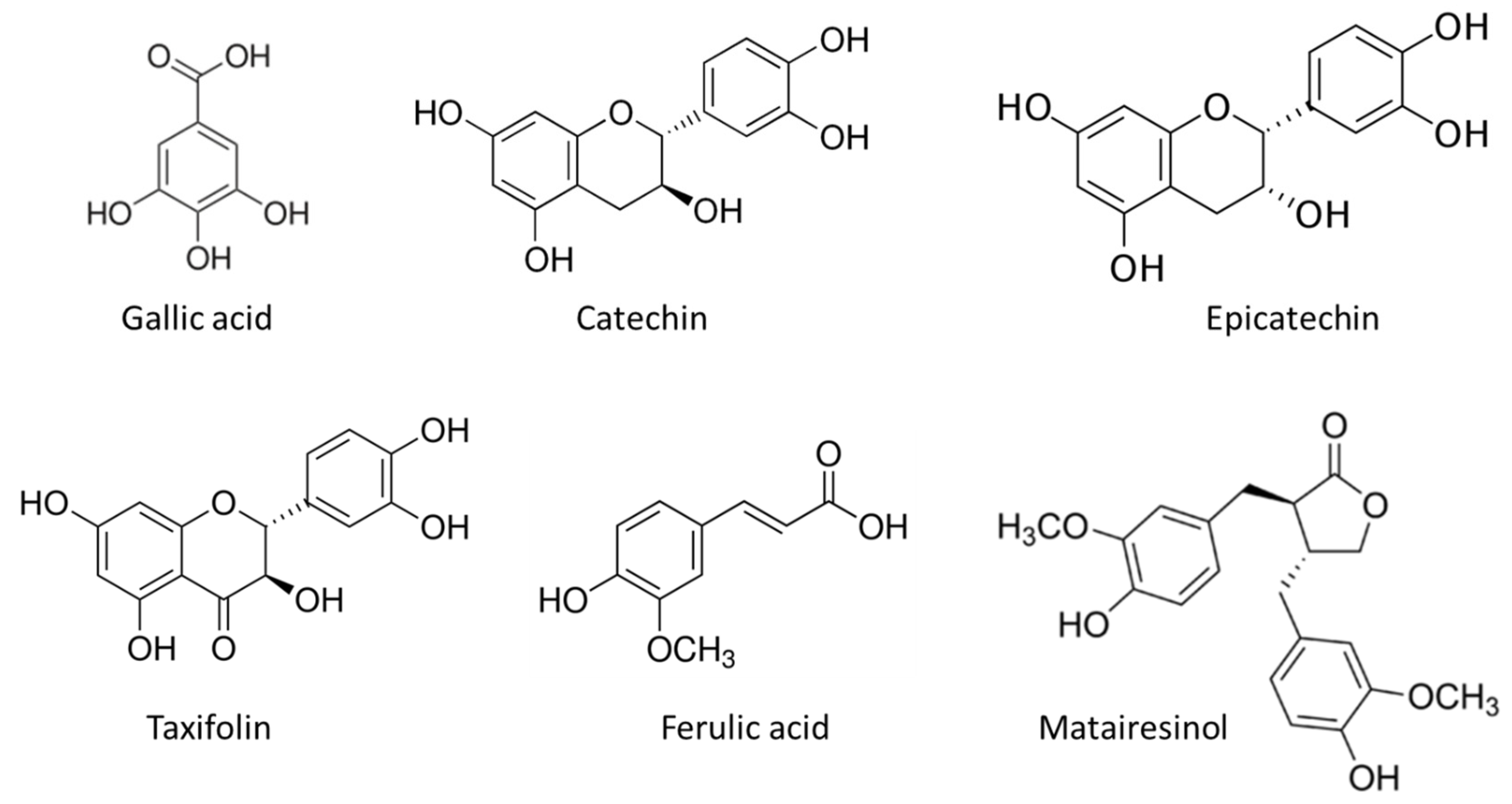 Molecules 28 00225 g004