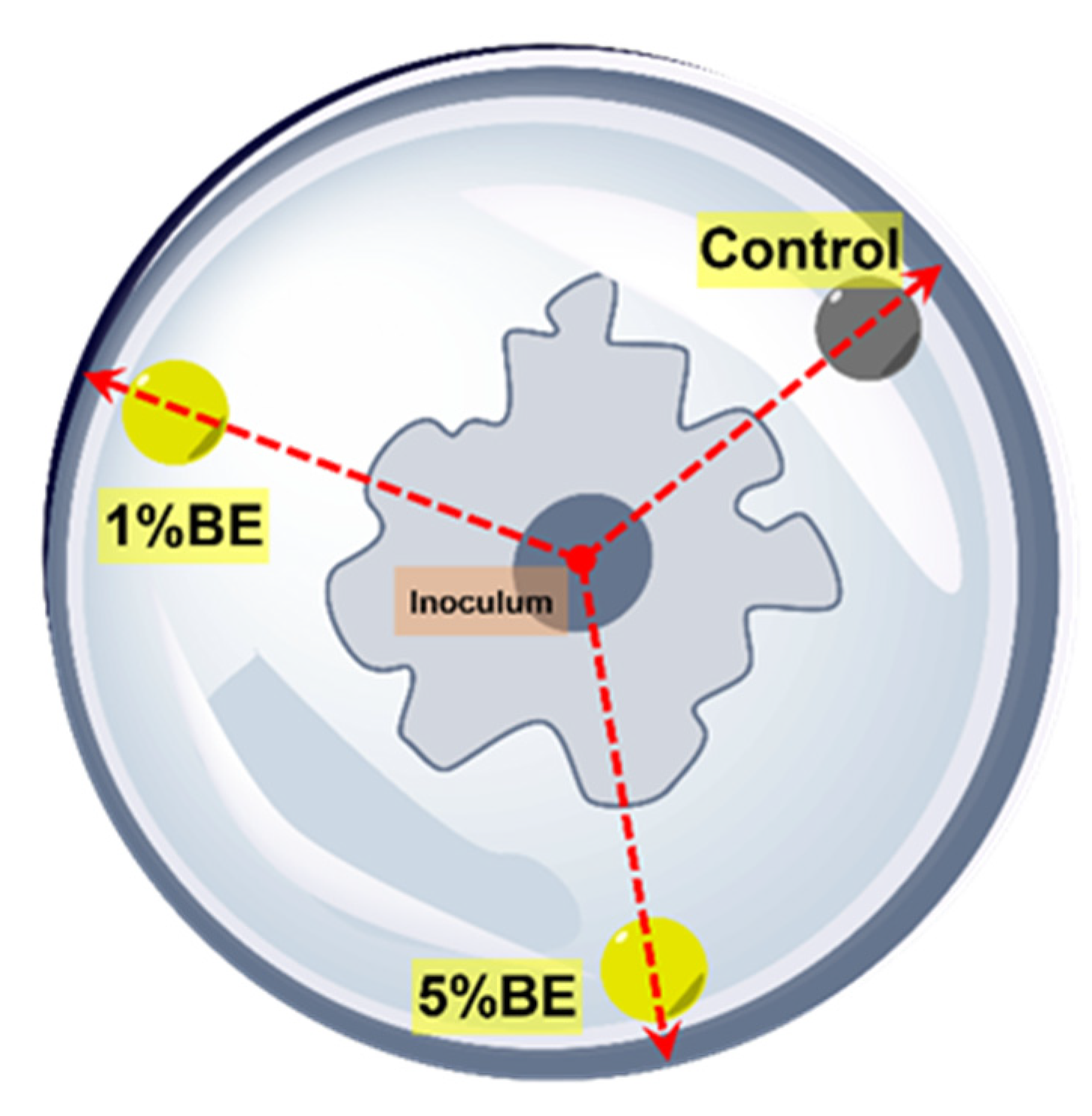 Molecules 28 00225 g007