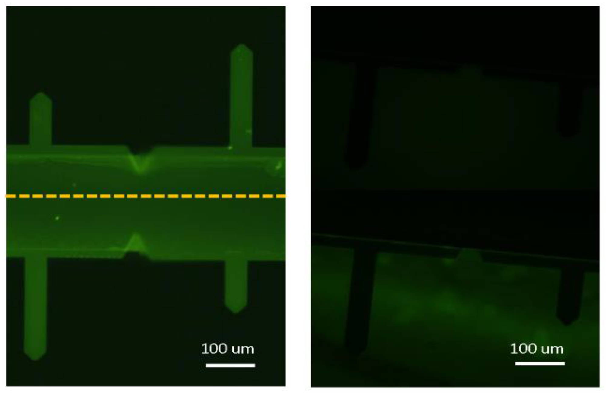 Molecules 28 00226 g001 Molecules 28 00226 g001