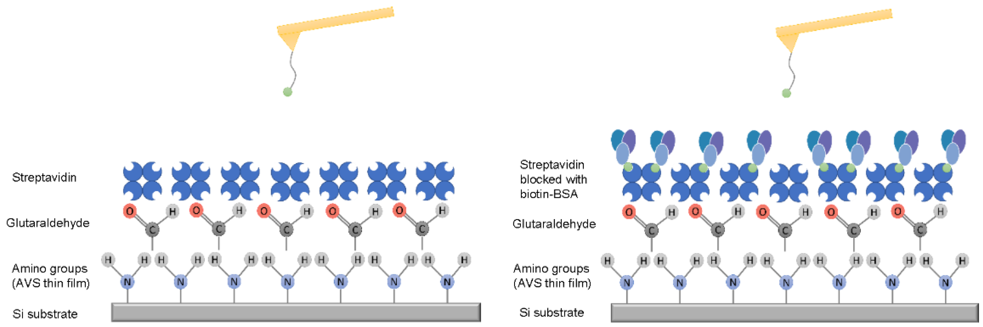 Molecules 28 00226 g003 Molecules 28 00226 g003