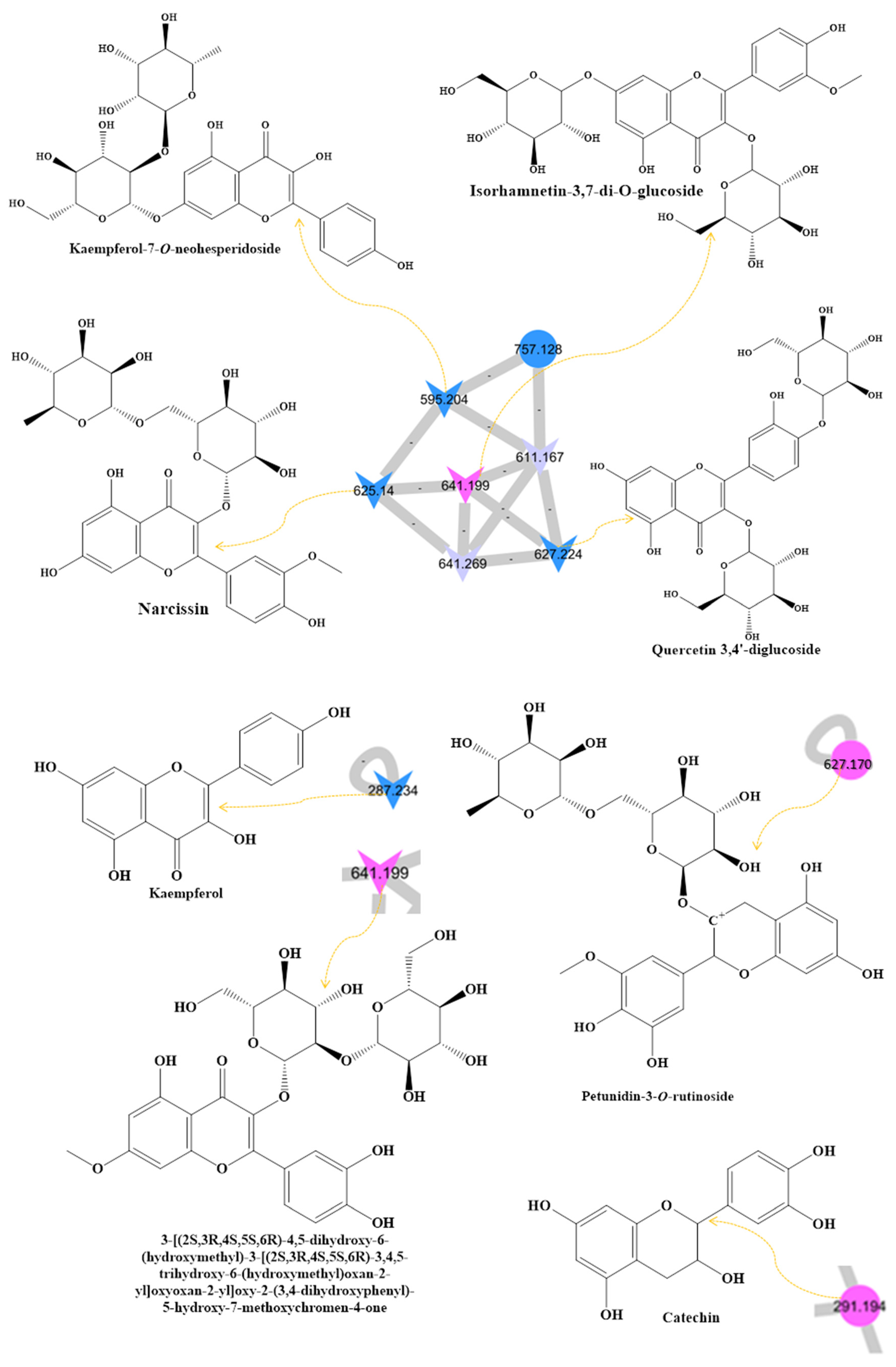 Molecules 28 00227 g001b