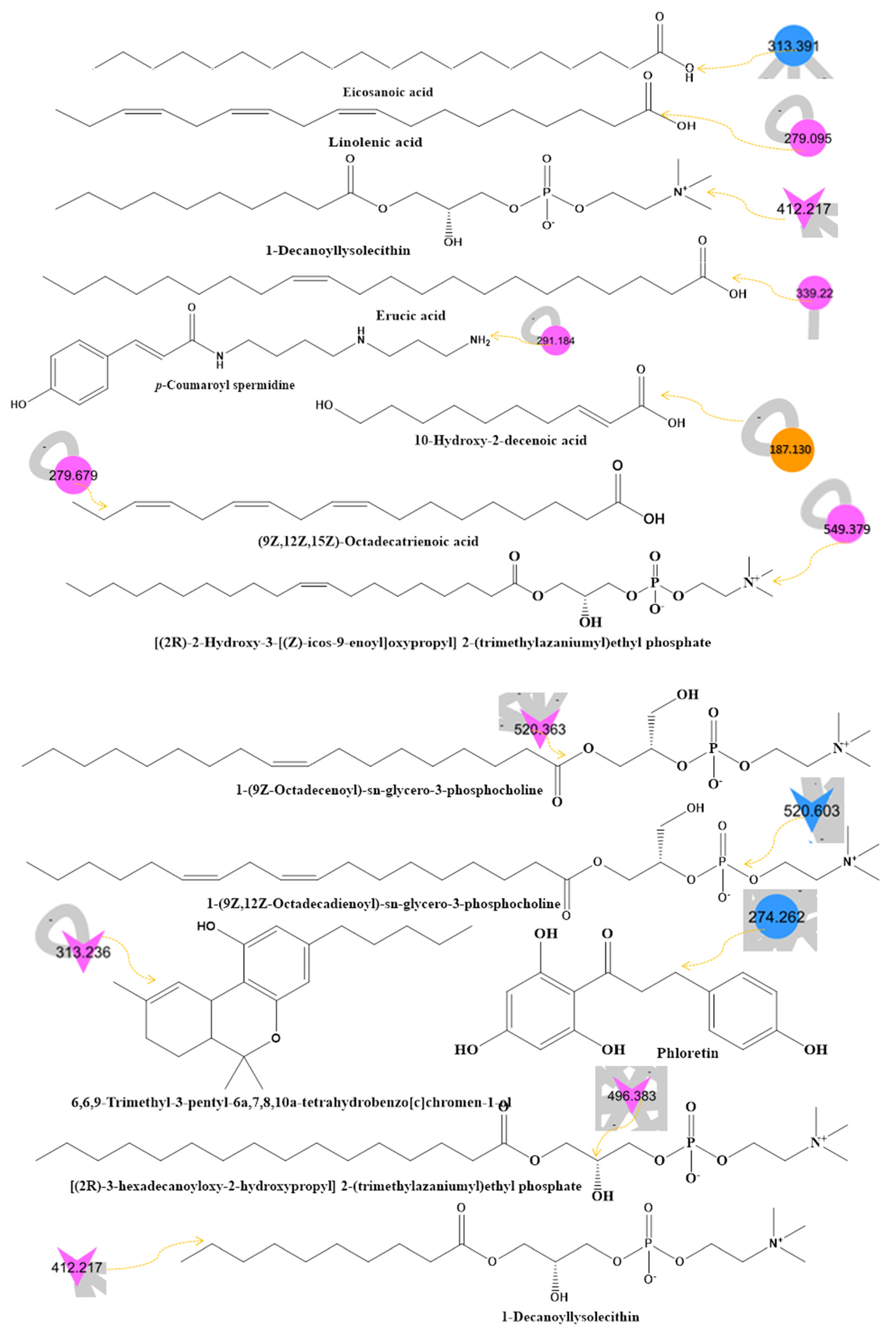 Molecules 28 00227 g001d