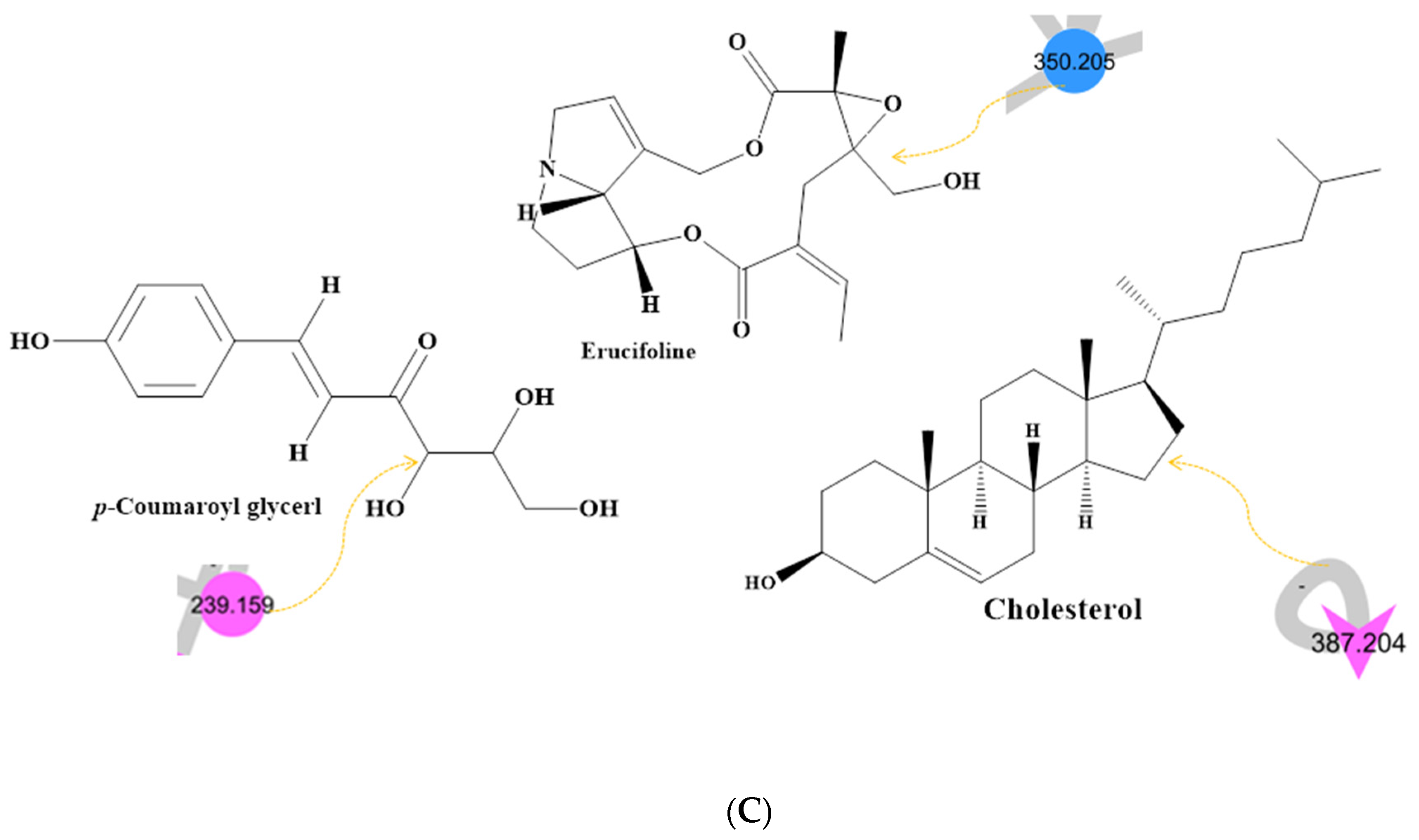 Molecules 28 00227 g001f