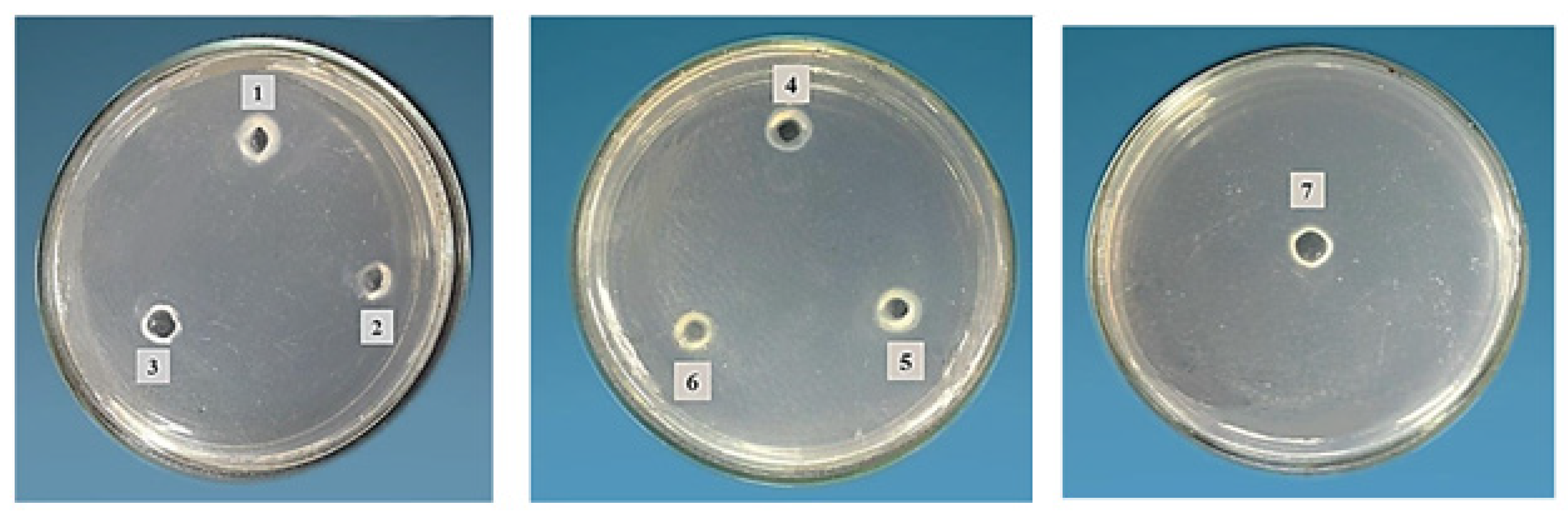 Molecules 28 00227 g003