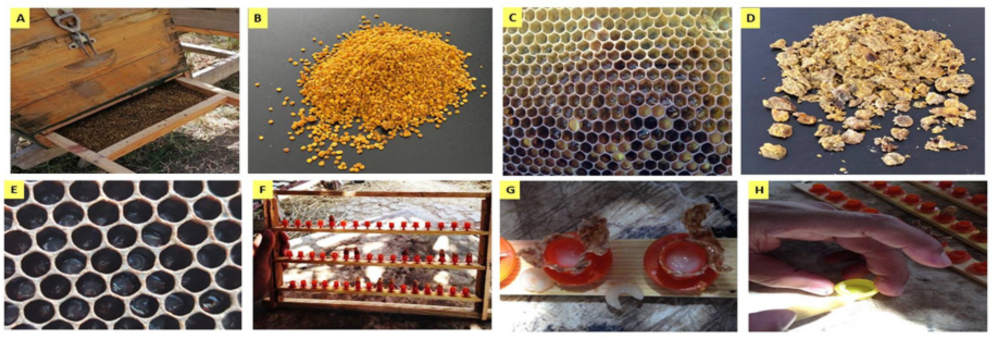 Molecules 28 00227 g008