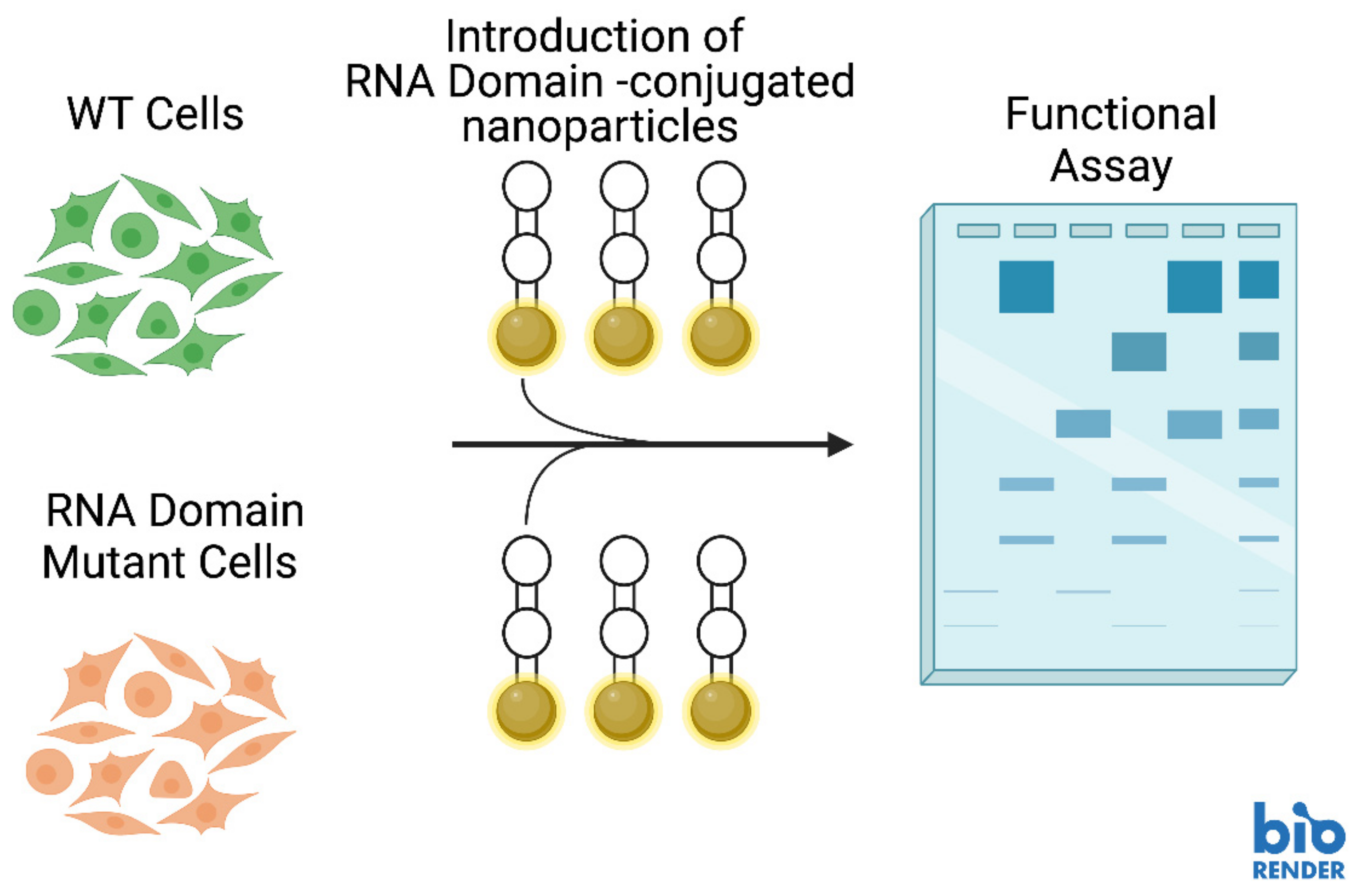Molecules 28 00228 g003
