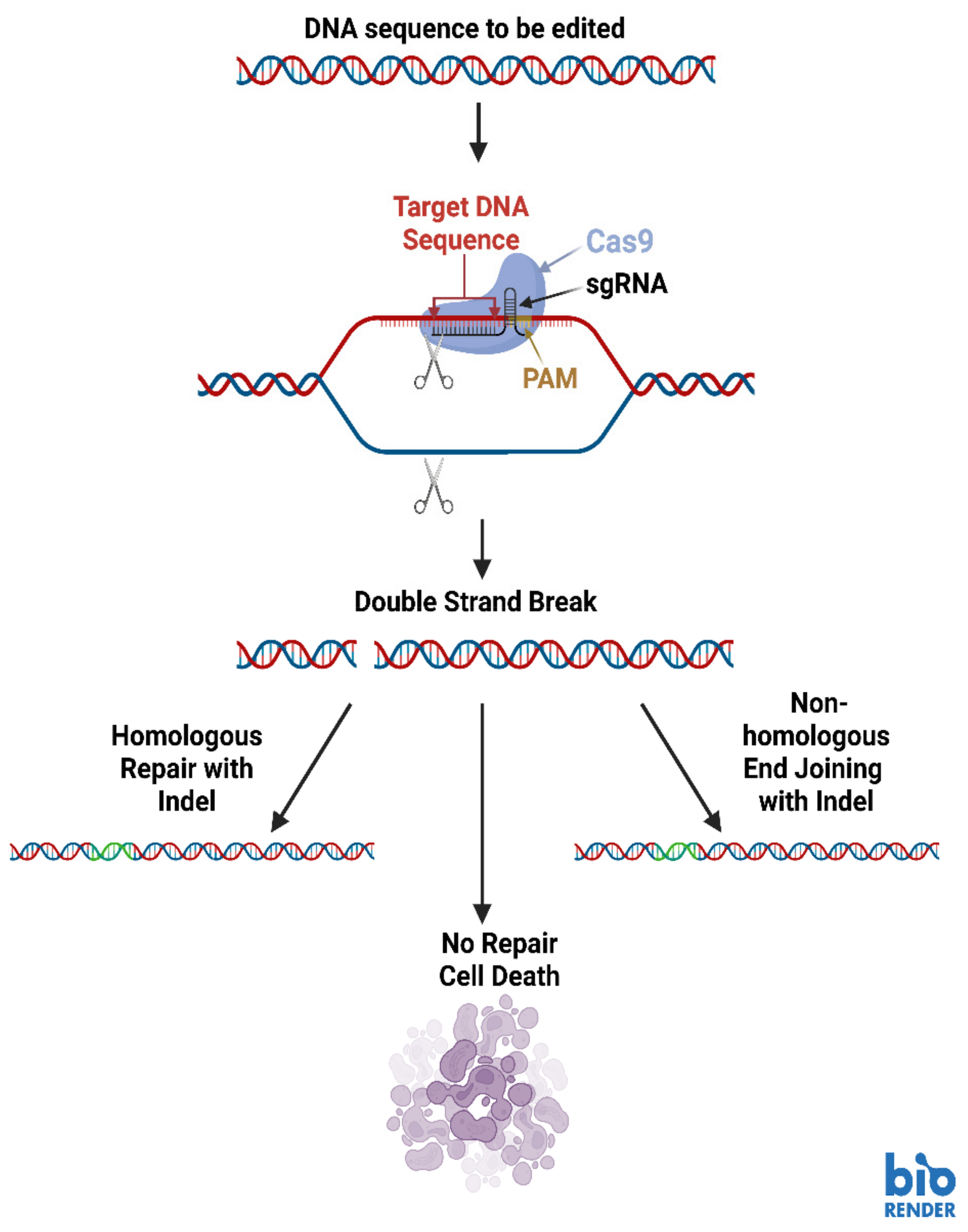 Molecules 28 00228 g004