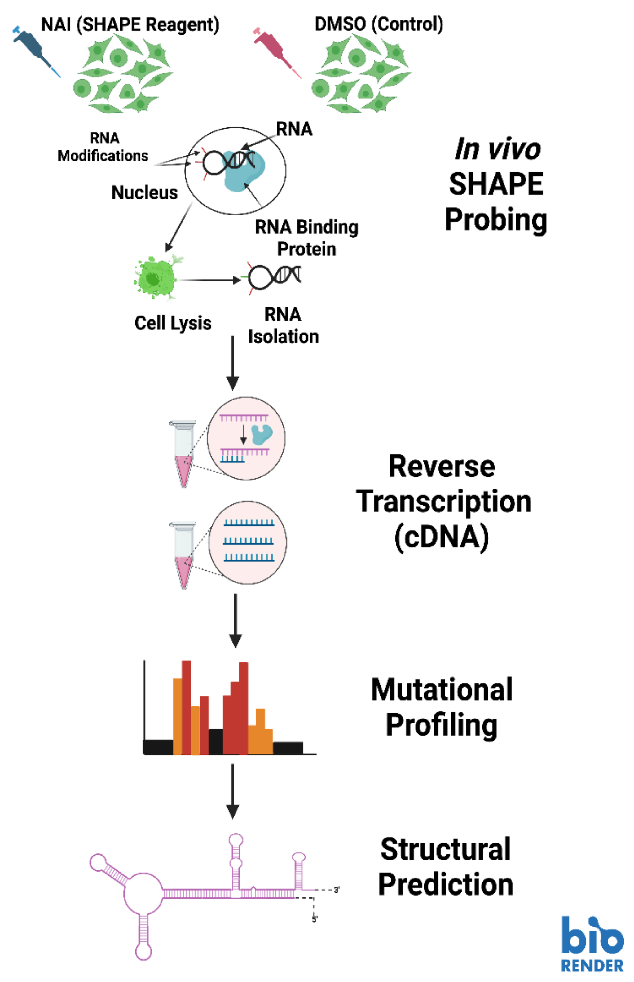 Molecules 28 00228 g005