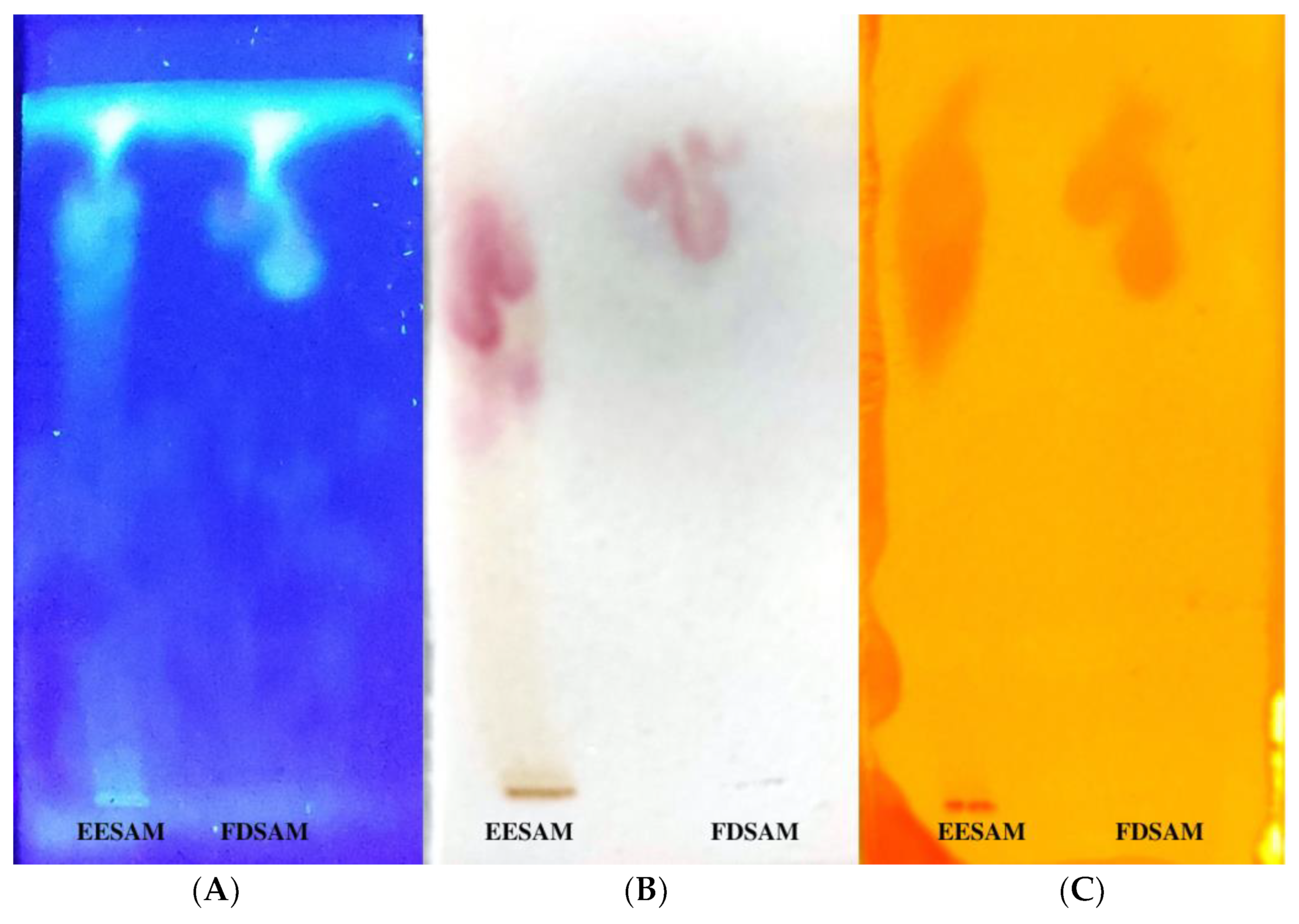 Molecules 28 00231 g001