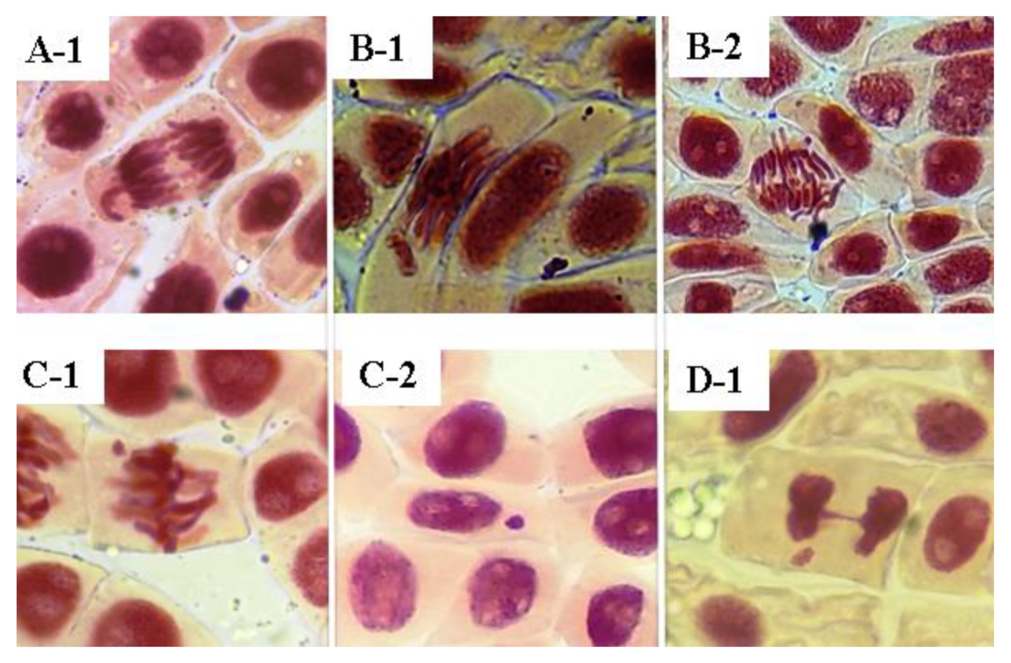 Molecules 28 00231 g006