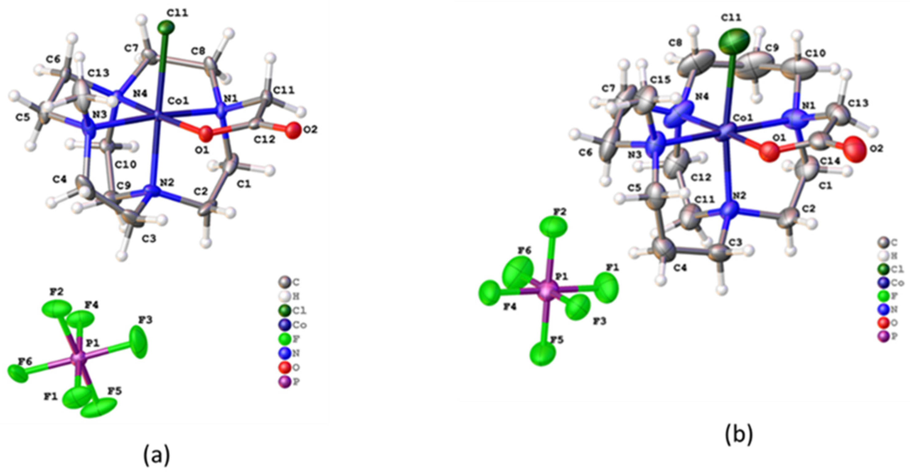 Molecules 28 00232 g003