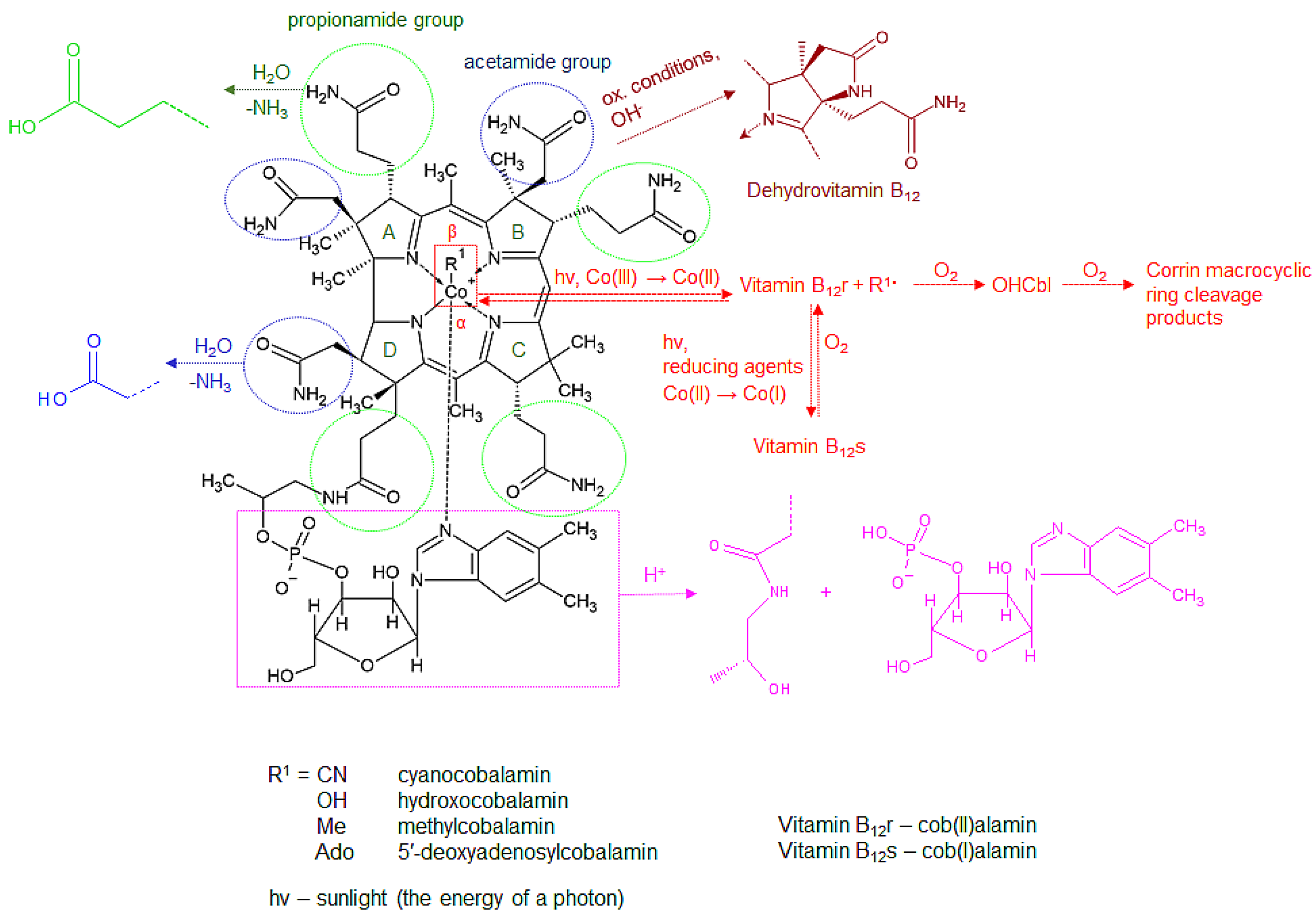 Molecules 28 00240 g003