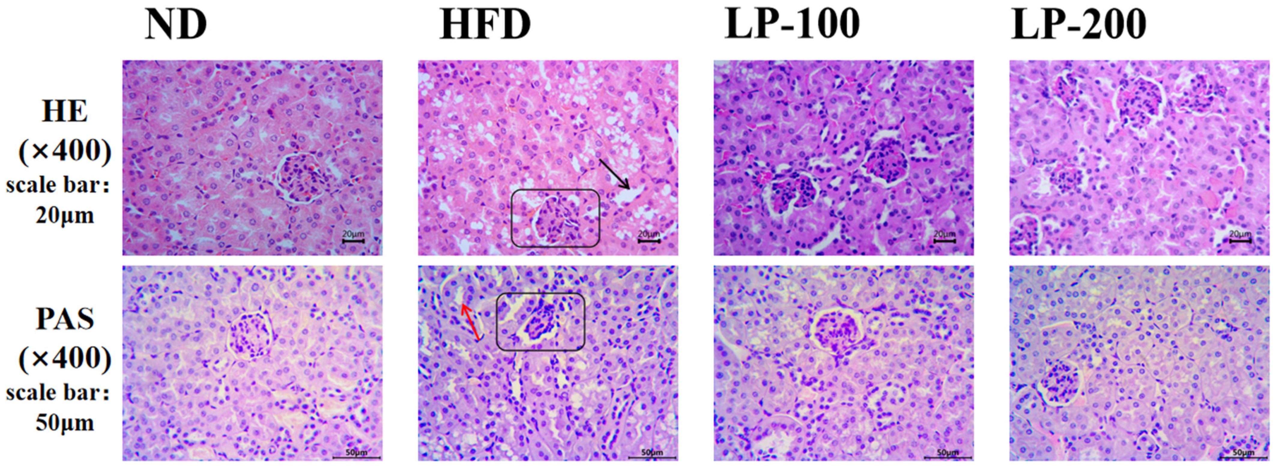 Molecules 28 00245 g001