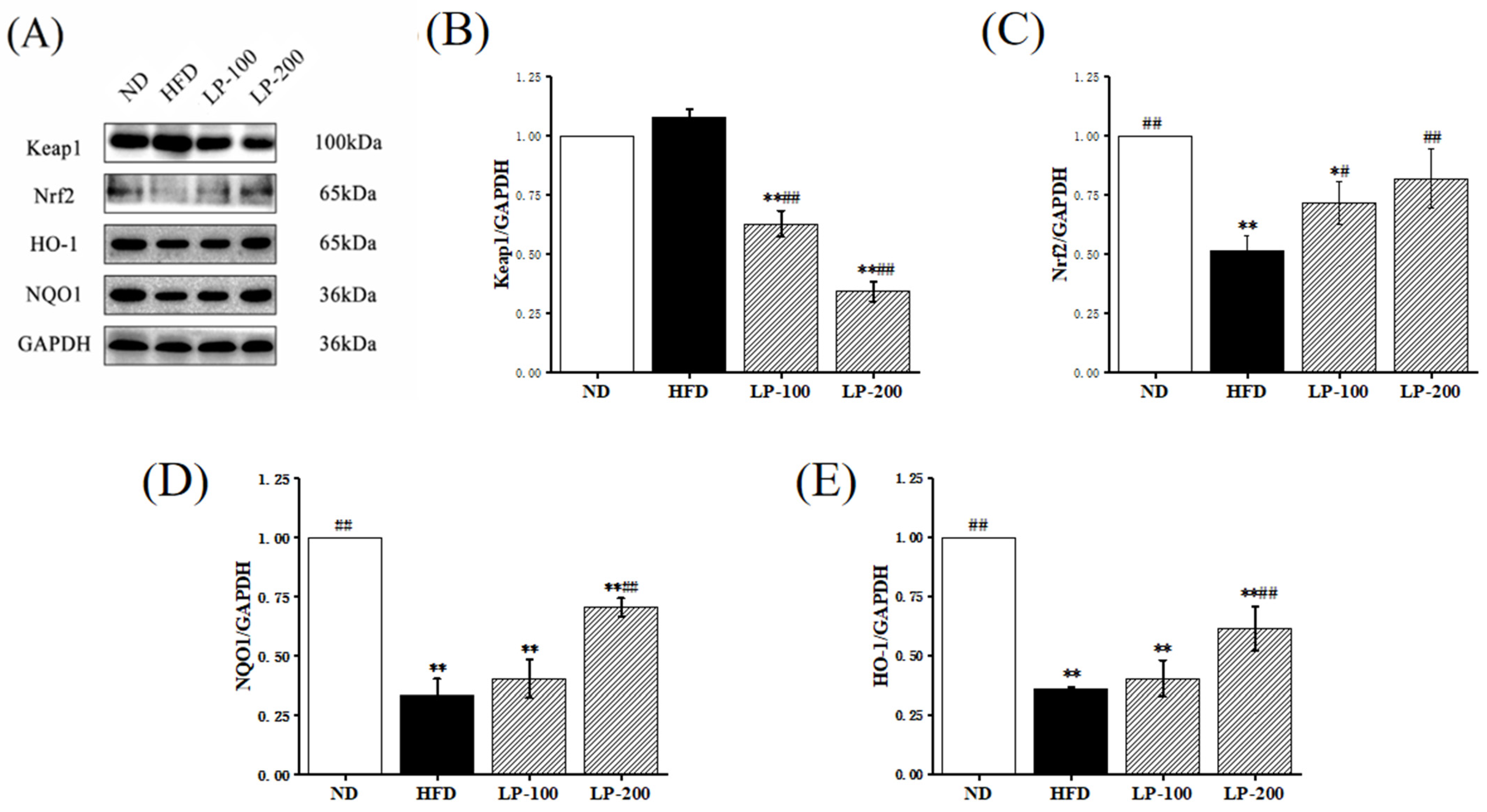 Molecules 28 00245 g002