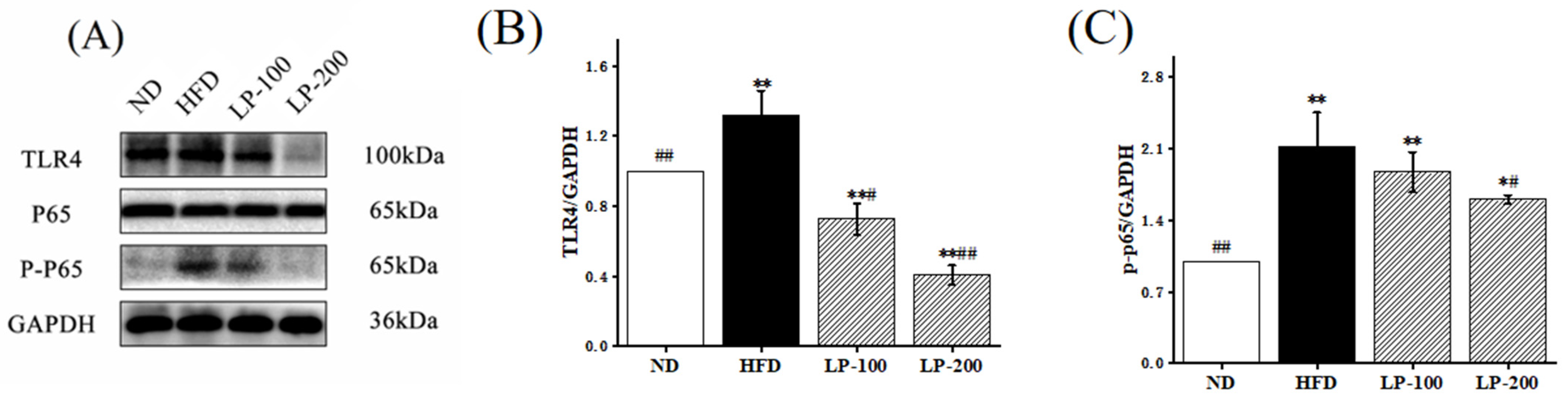 Molecules 28 00245 g003