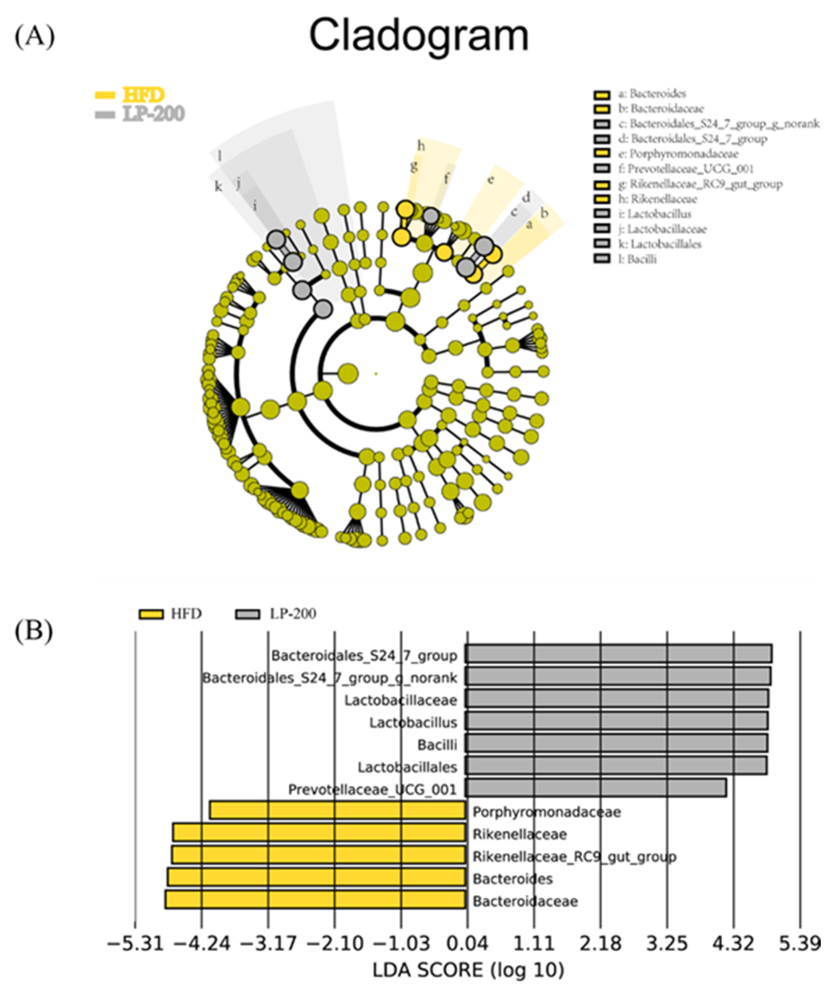 Molecules 28 00245 g008