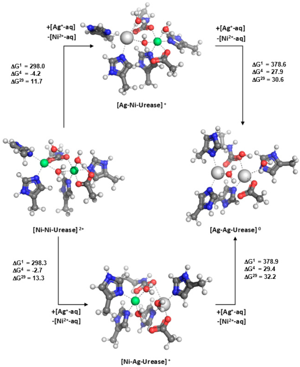 Molecules 28 00249 g006