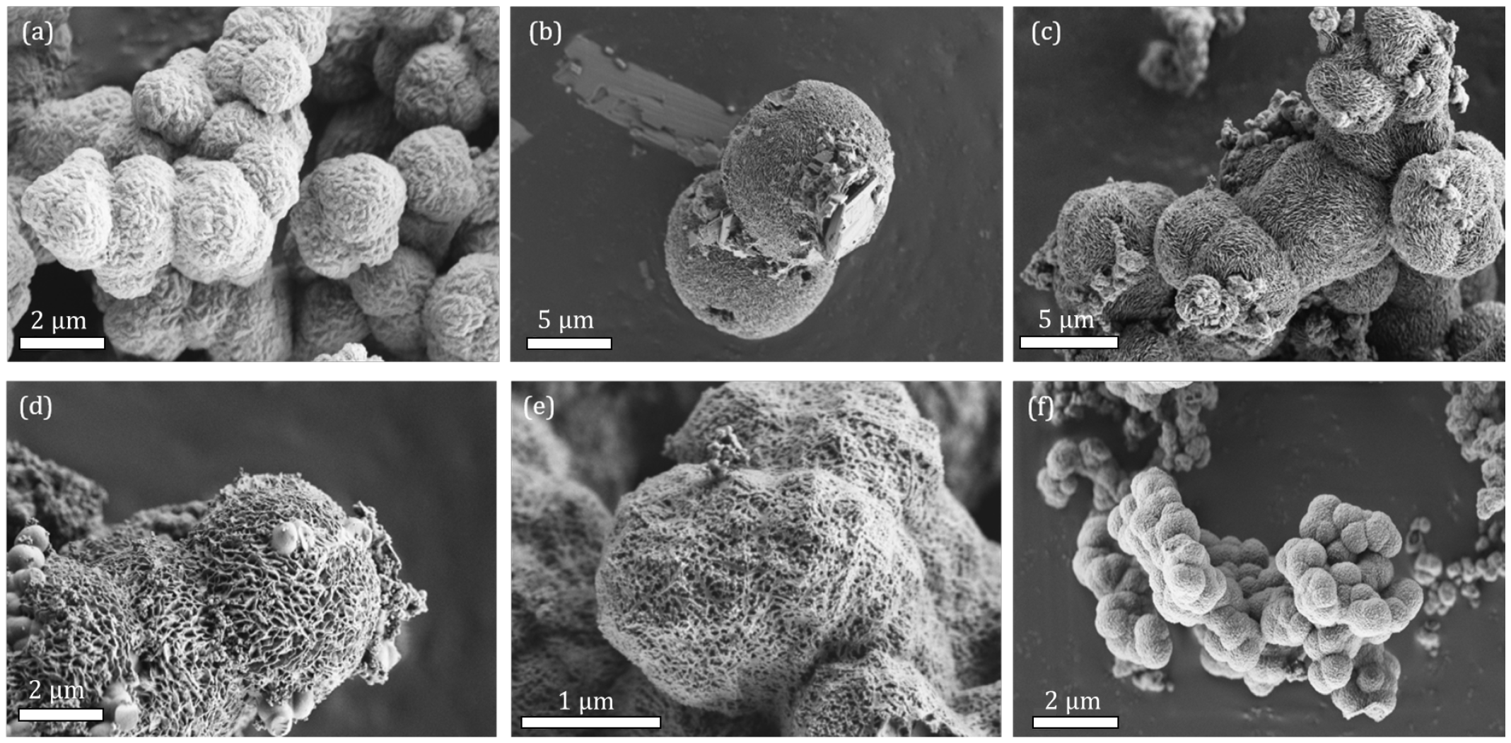Molecules 28 00253 g002