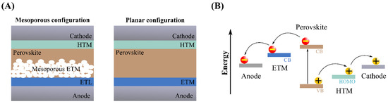 Molecules 28 00257 g010